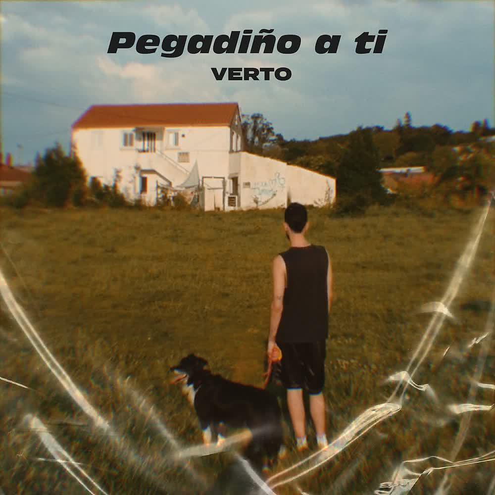 Постер альбома Pegadiño a Ti