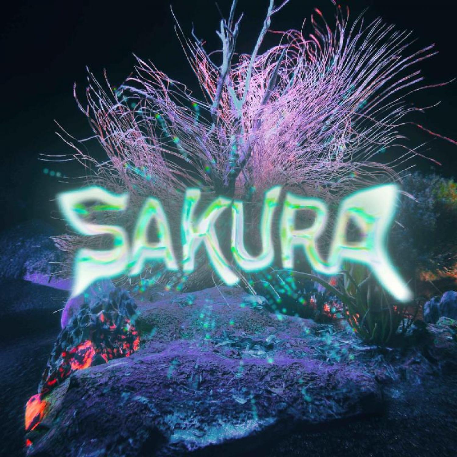 Постер альбома Sakura 