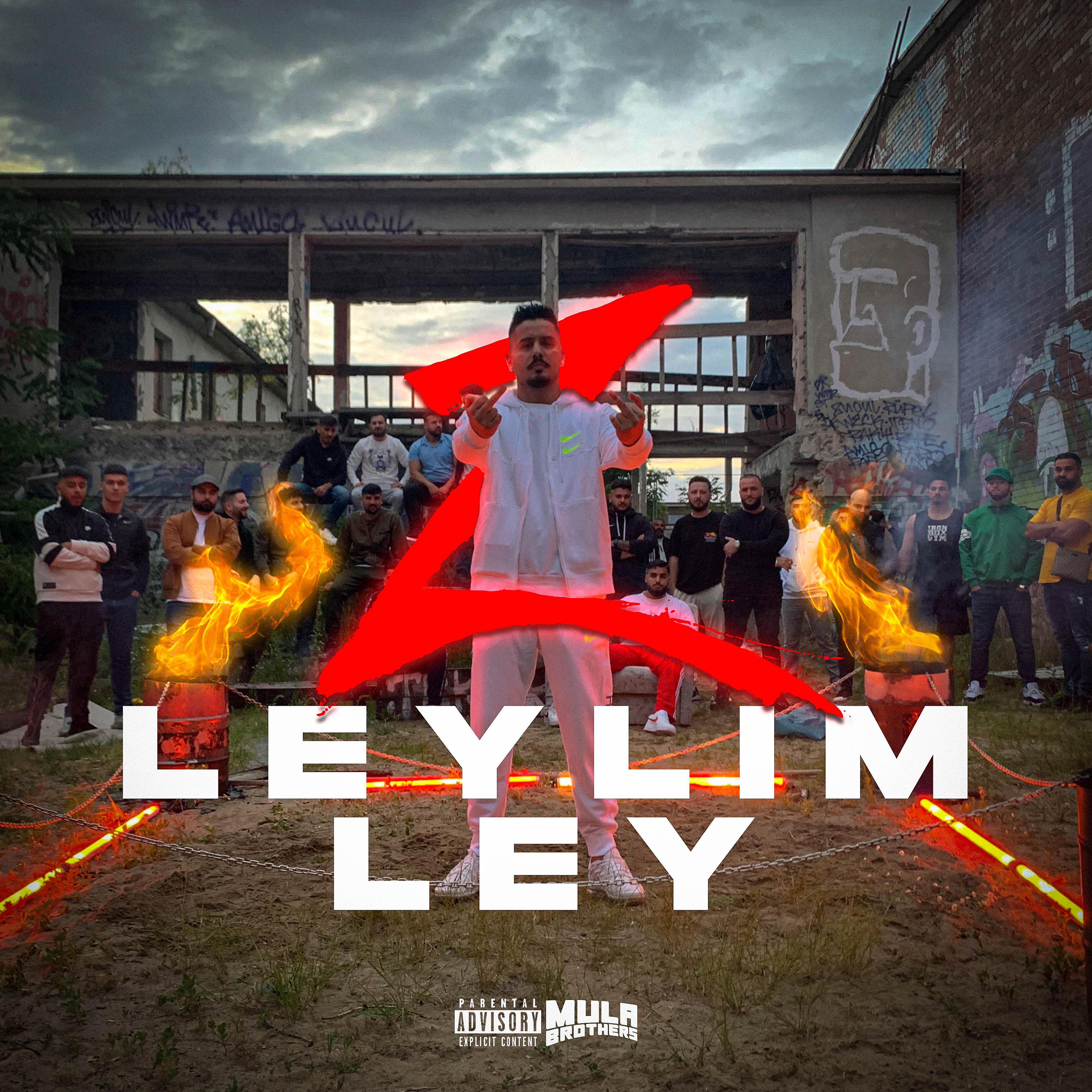 Постер альбома LEYLIM LEY