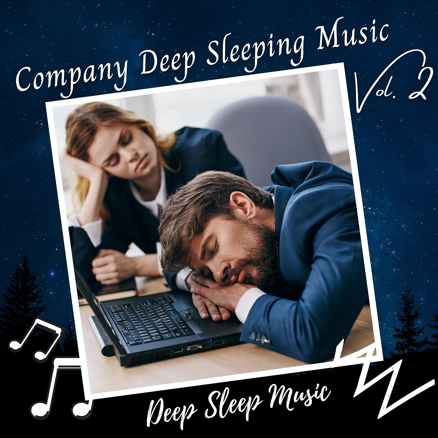 Постер альбома Deep Sleep Music: Company Deep Sleeping Music Vol. 2