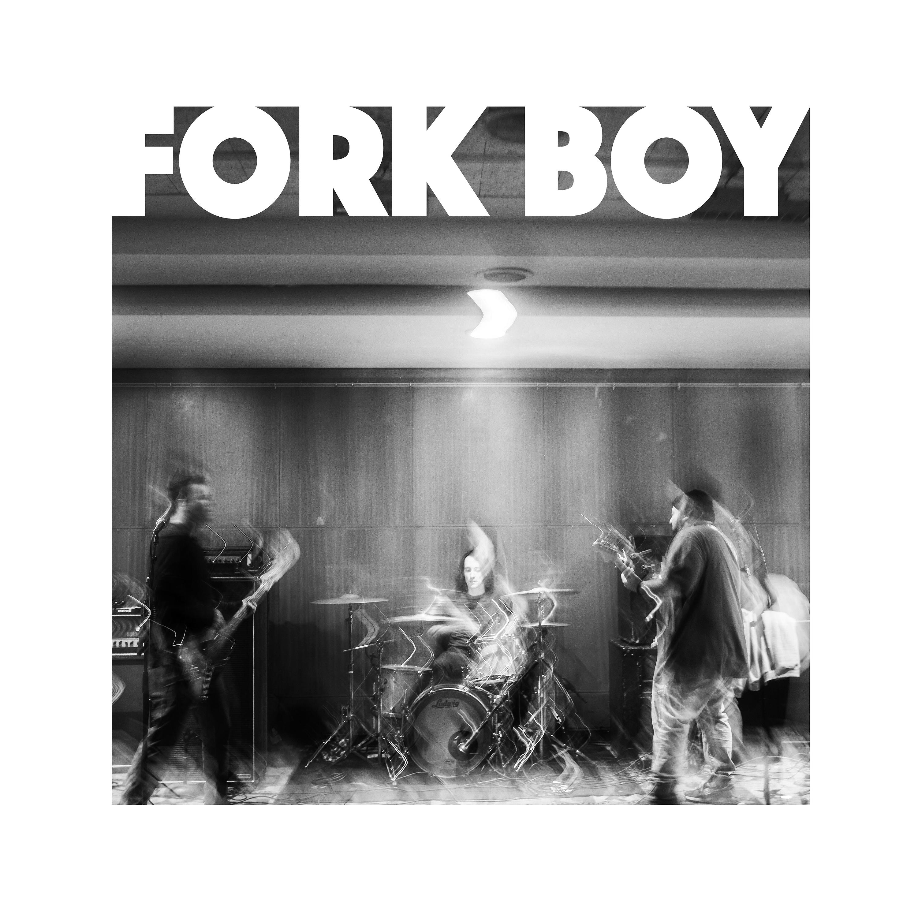 Постер альбома Fork Boy