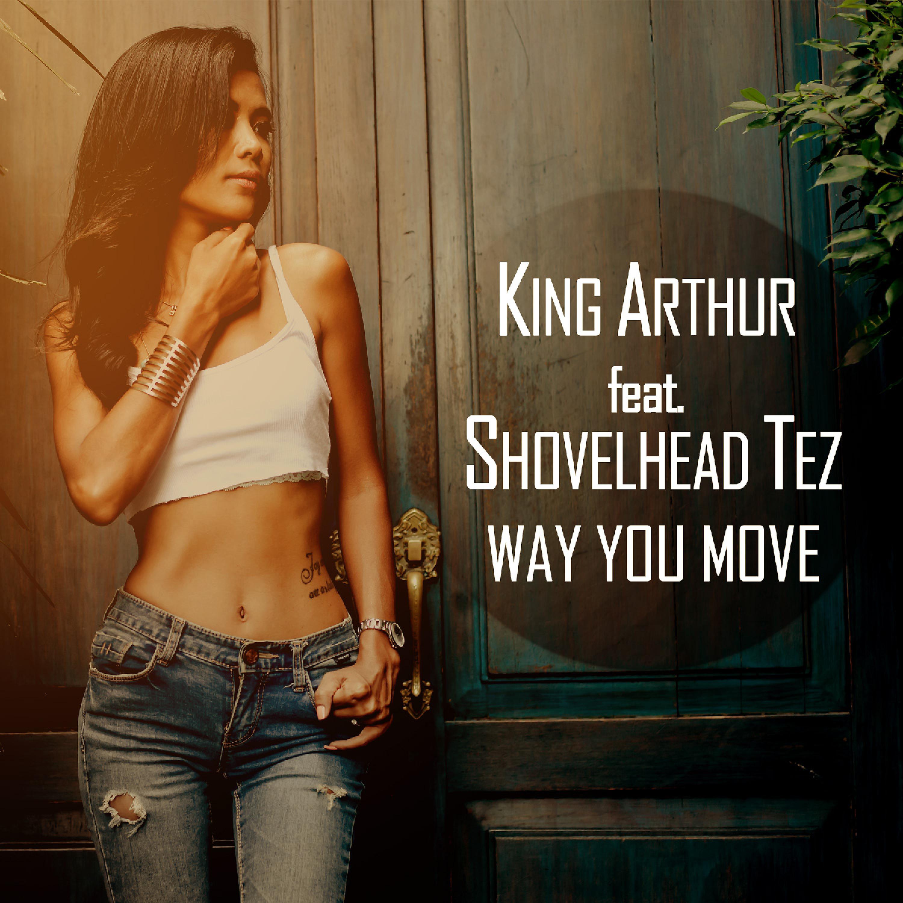 Постер альбома Way You Move (feat. Shovelhead Tez)