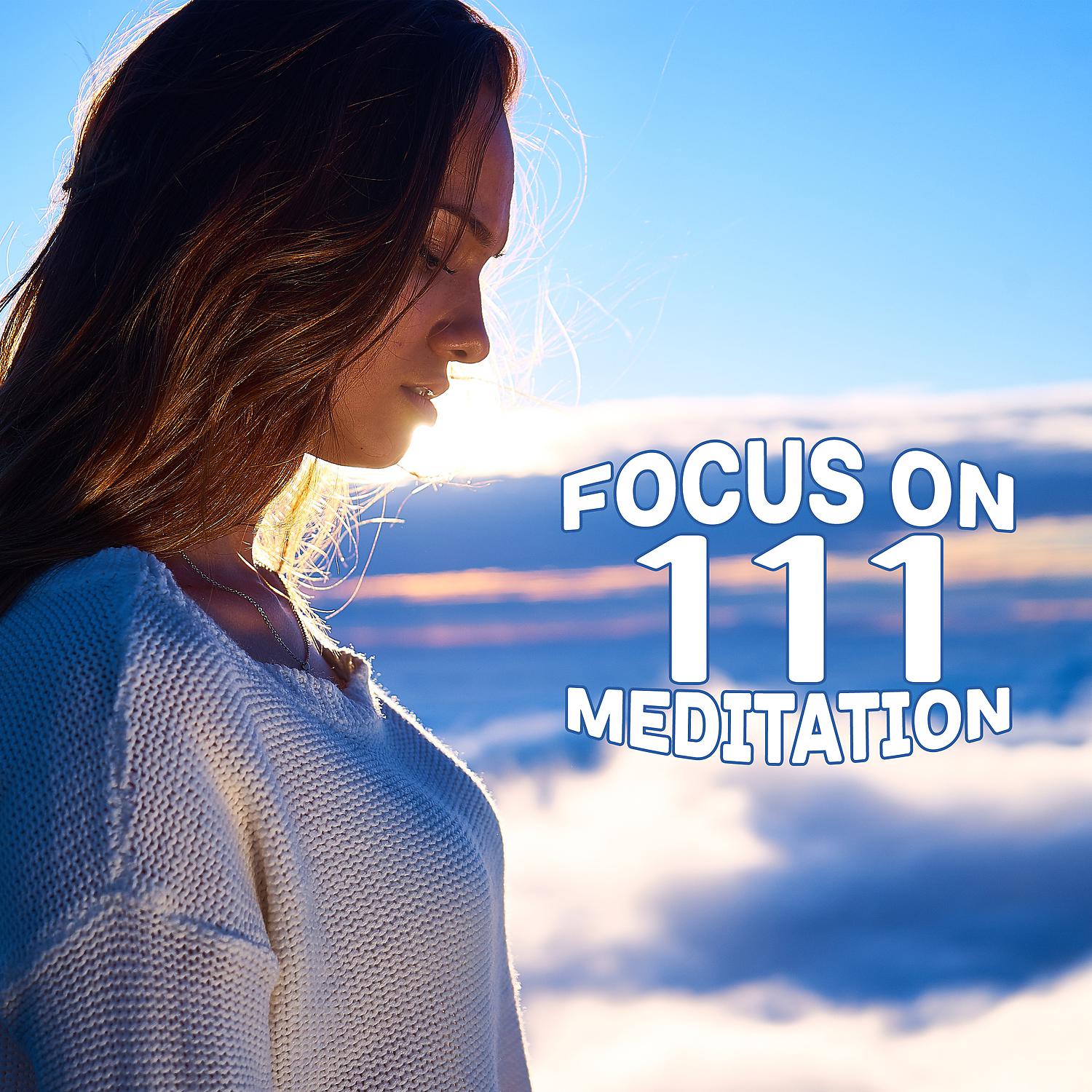 Постер альбома Focus on Meditation: 111 Calming the Trouble Mind