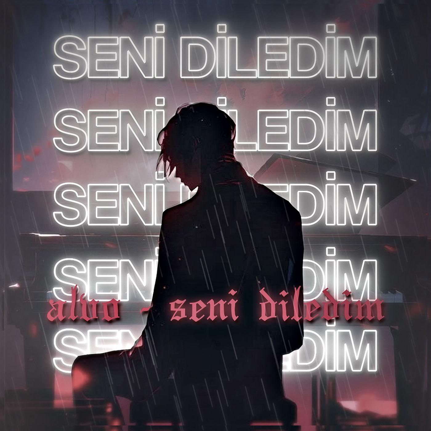 Постер альбома Seni Diledim