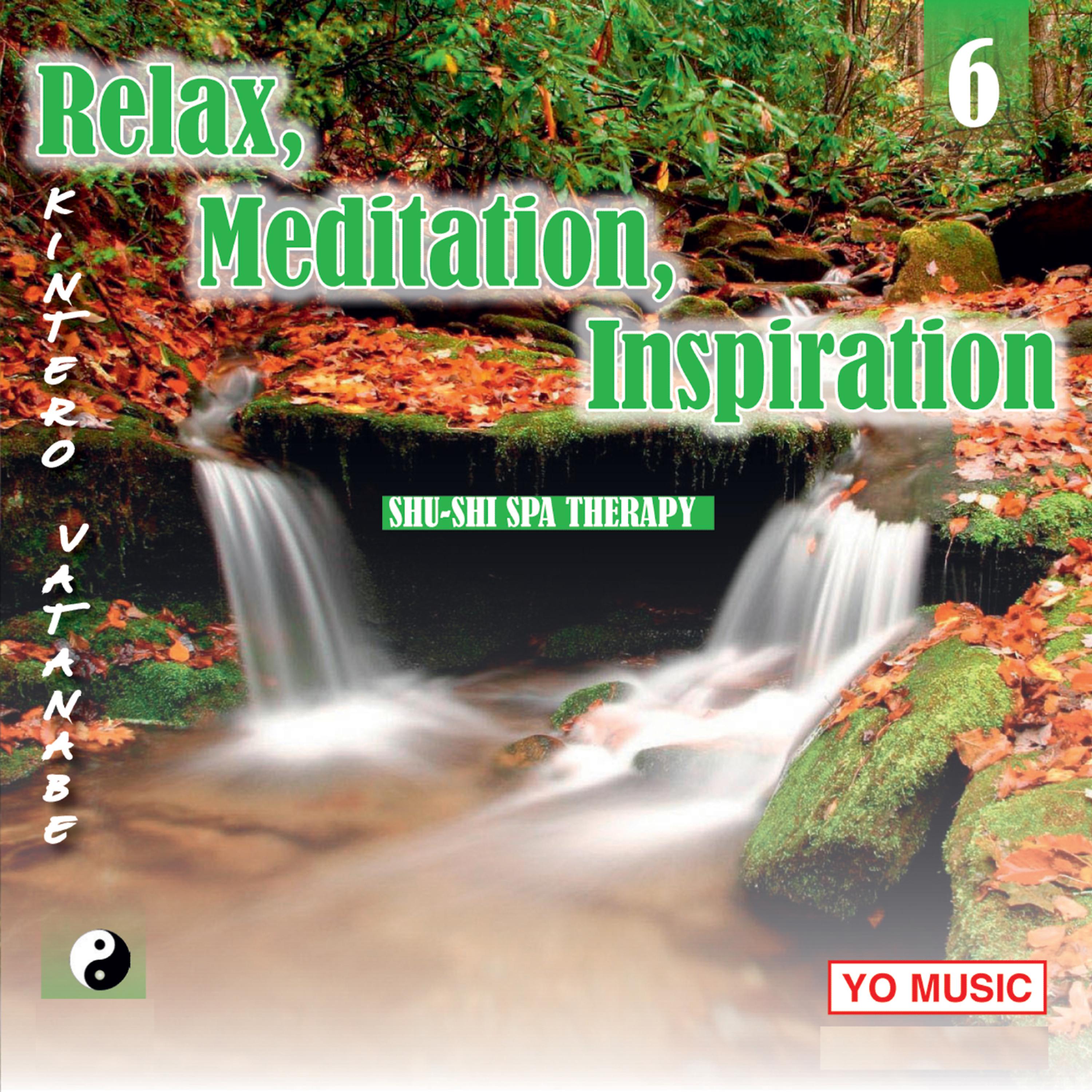 Постер альбома Relax, Meditation, Inspiration 6