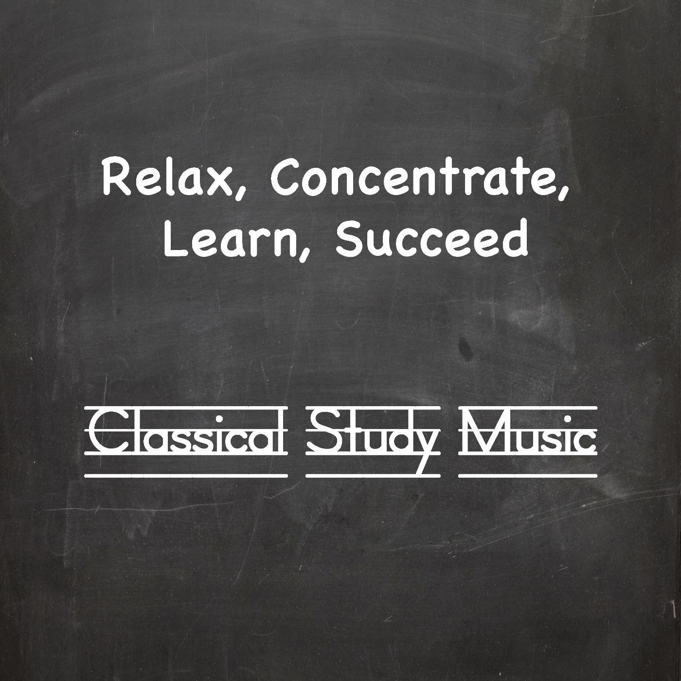 Постер альбома Relax, Concentrate, Learn, Succeed