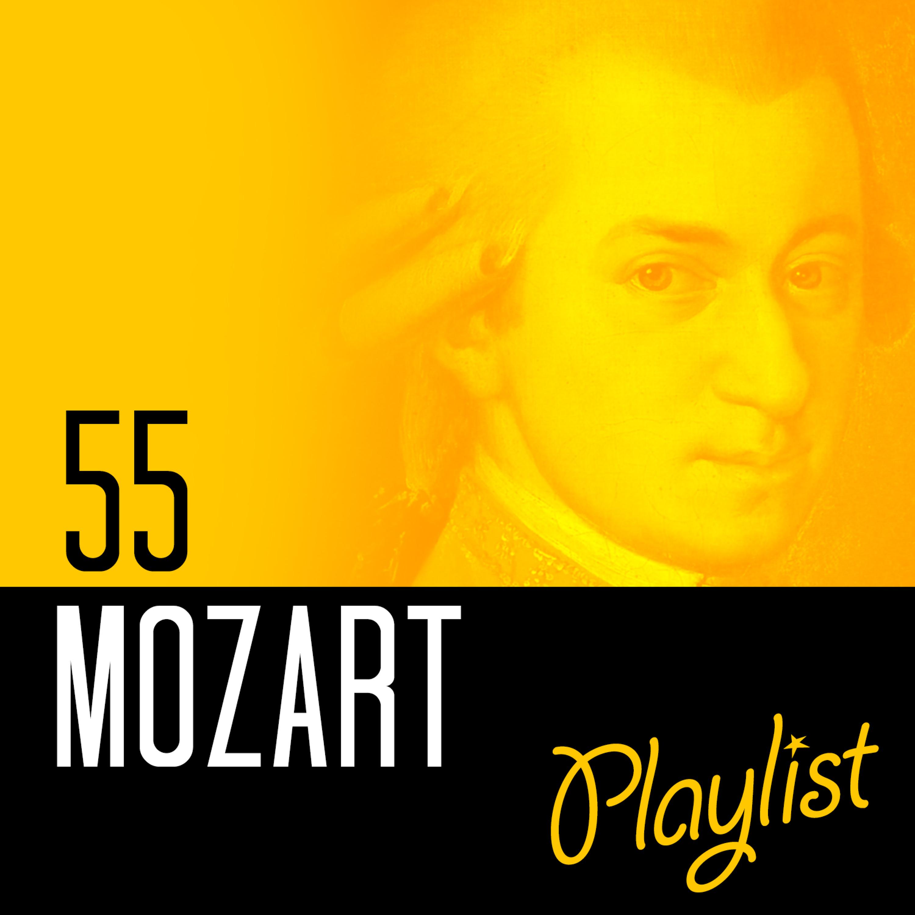 Постер альбома 55 Mozart Playlist