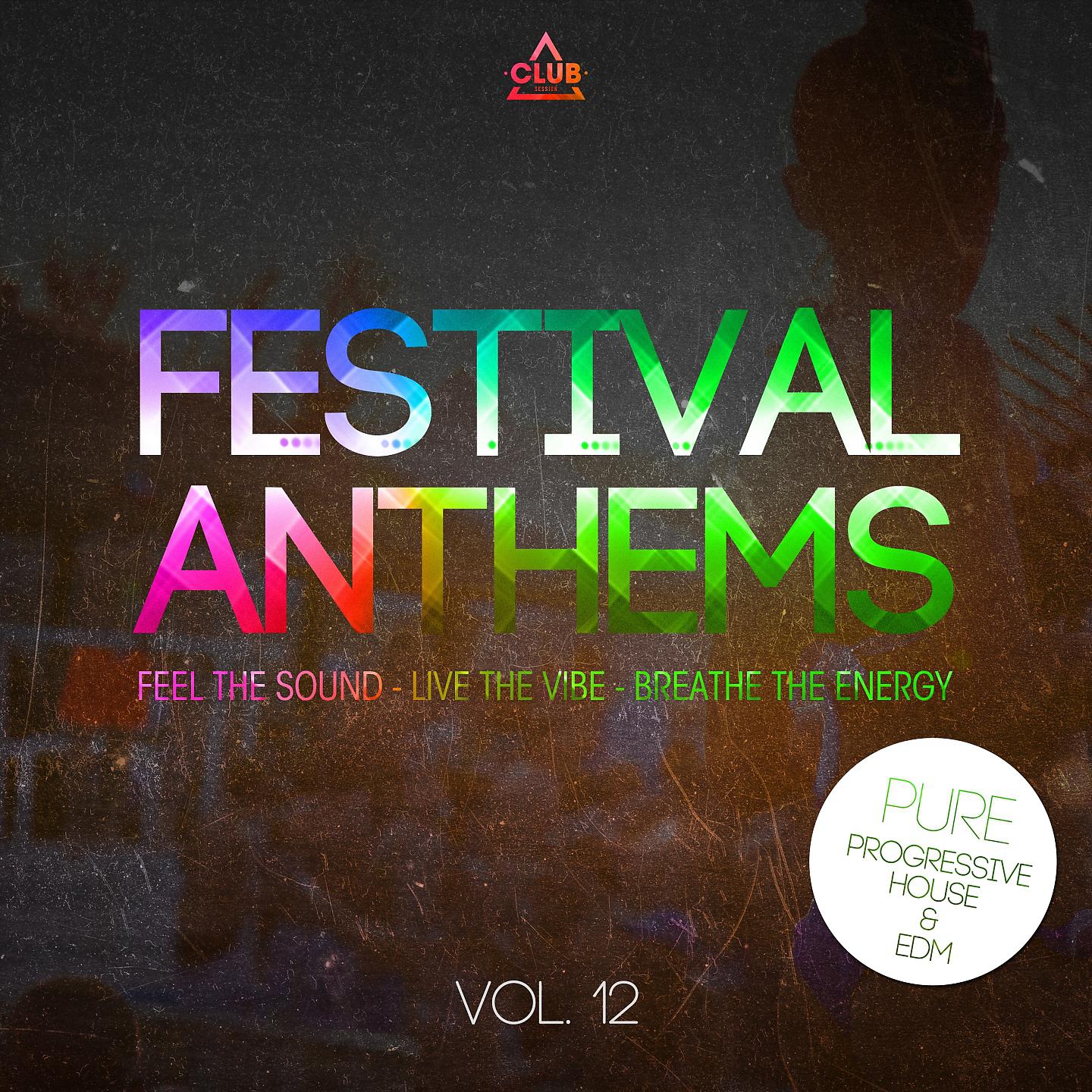 Постер альбома Festival Anthems, Vol. 12