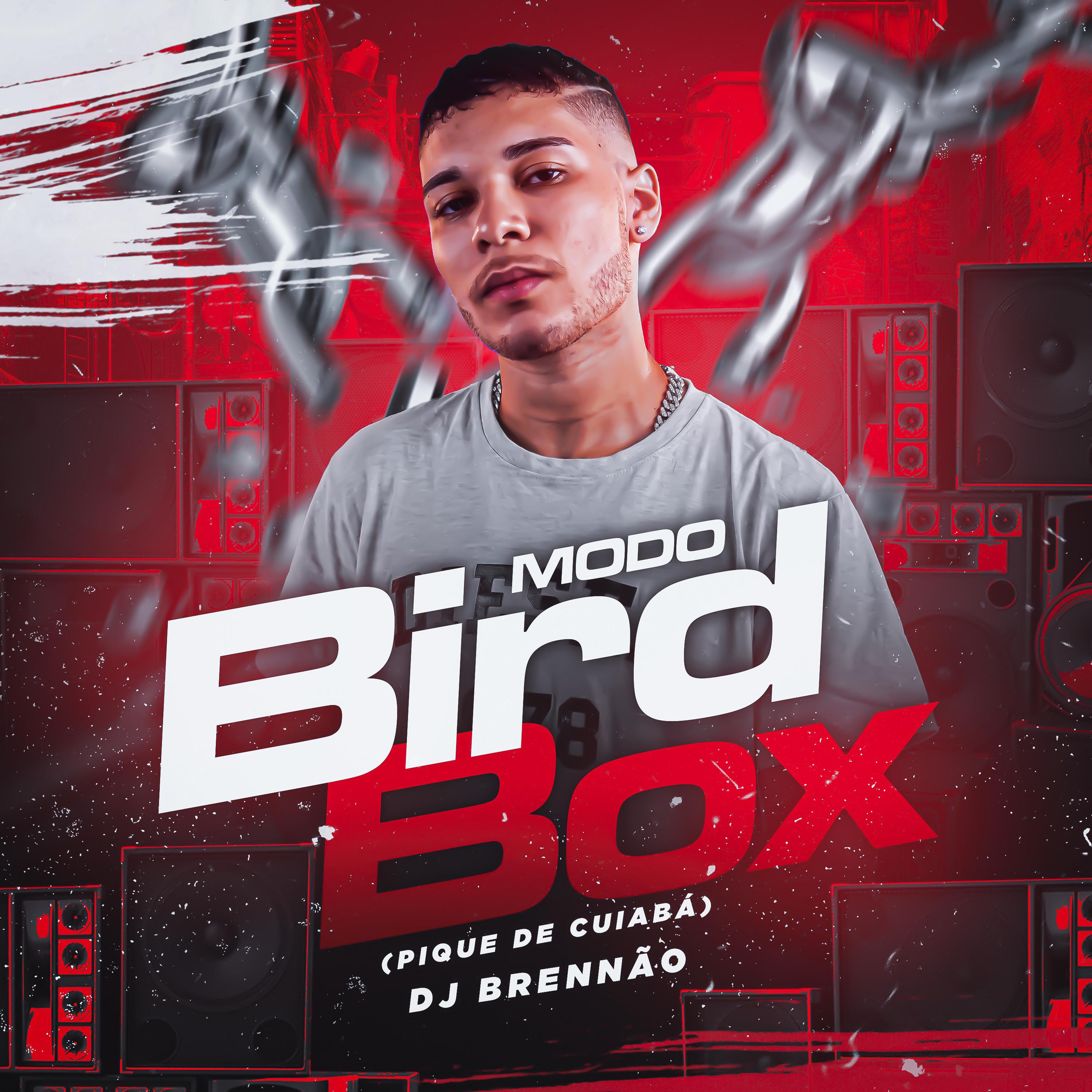 Постер альбома Modo Bird Box (Pique de Cuiabá)