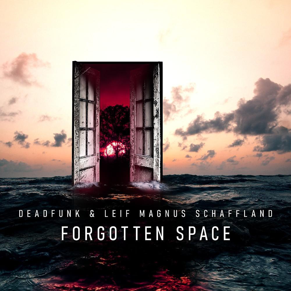 Постер альбома Forgotten Space