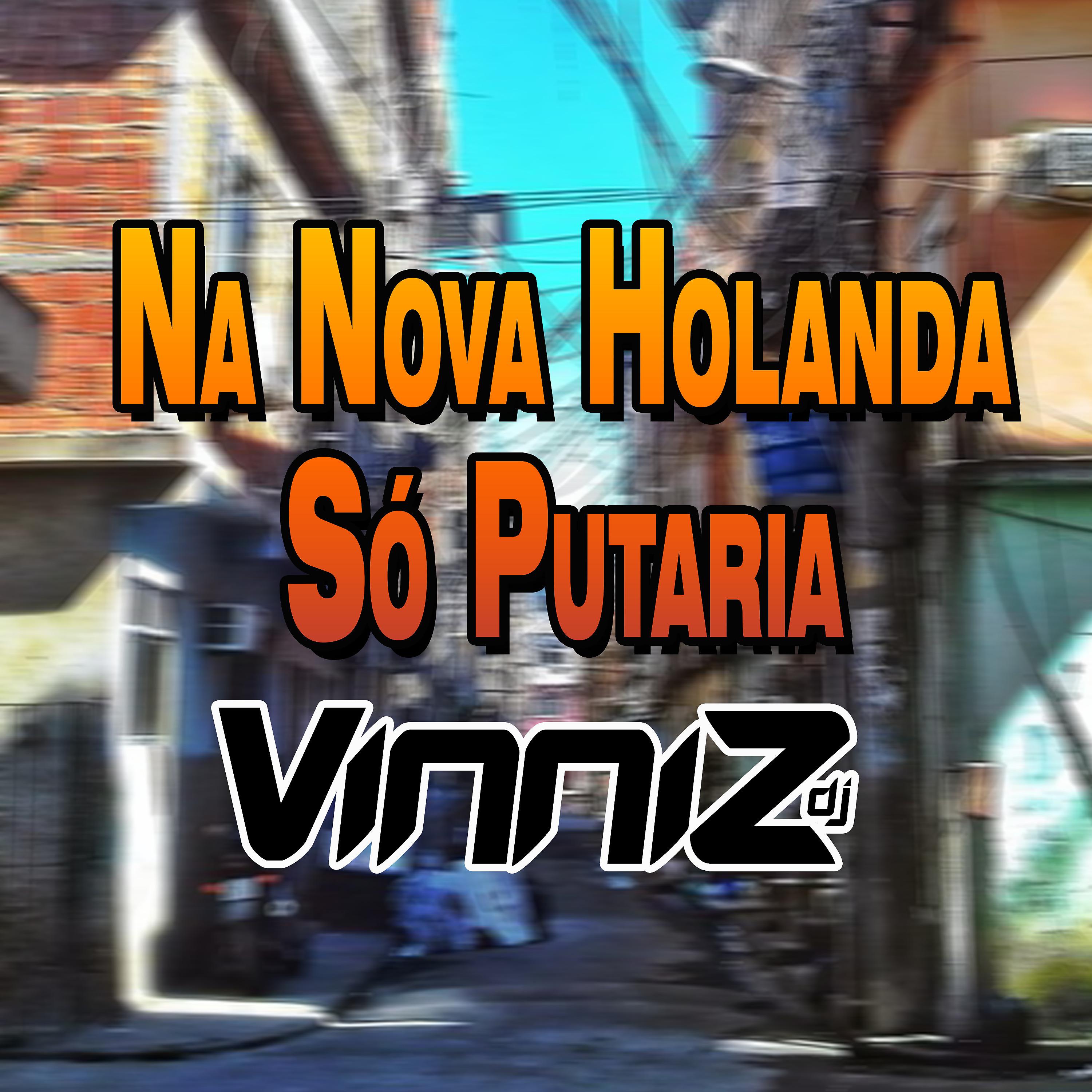 Постер альбома Na Nova Holanda Só Putaria