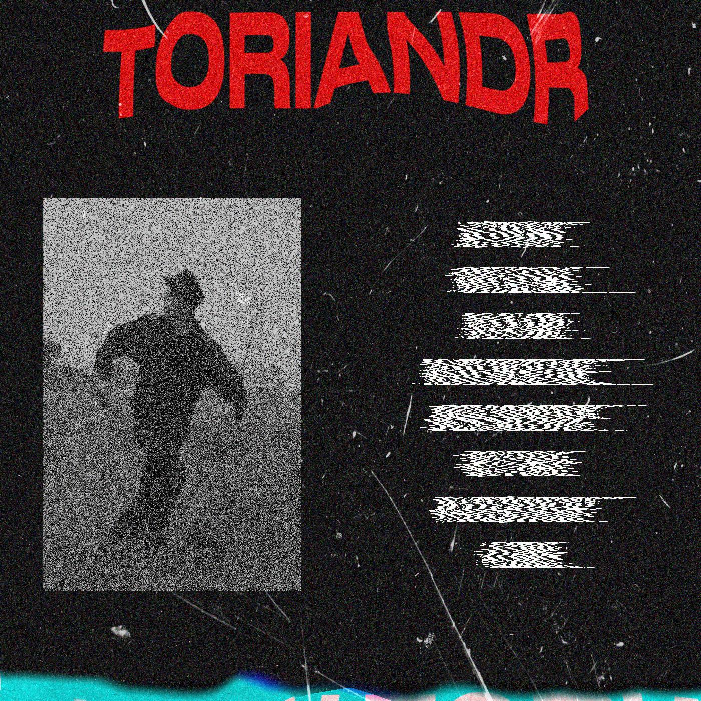 Постер альбома Toriandr