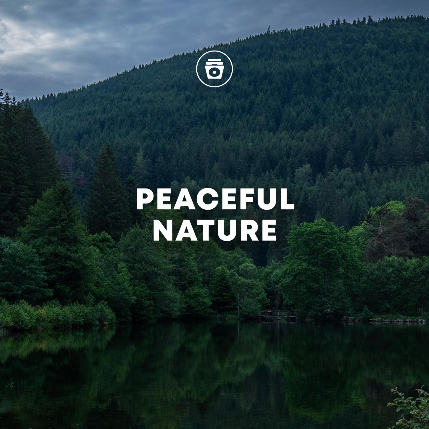 Постер альбома Peaceful Nature