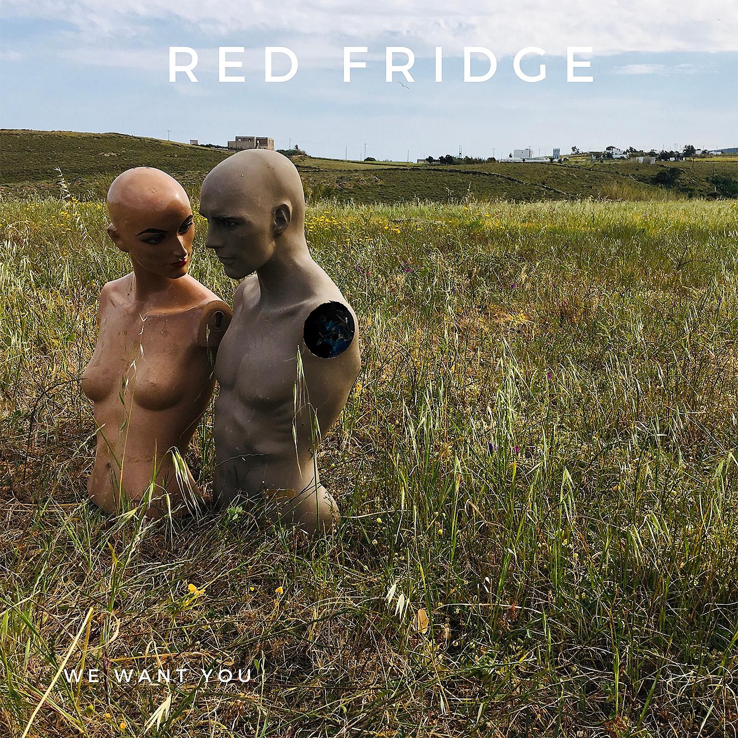 Постер альбома Red Fridge