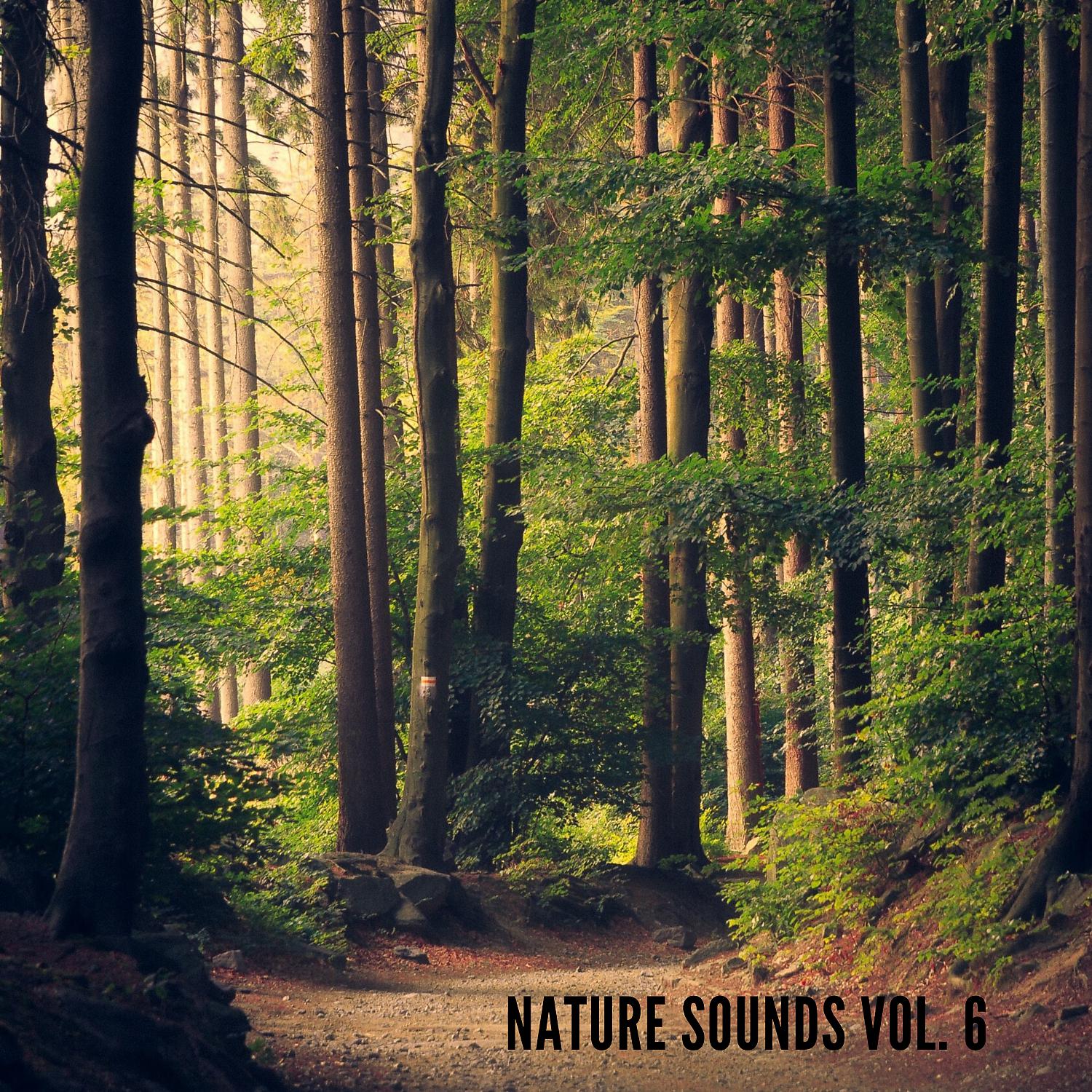 Постер альбома Nature Sounds, Vol.6 (Nature Music to Sleep)