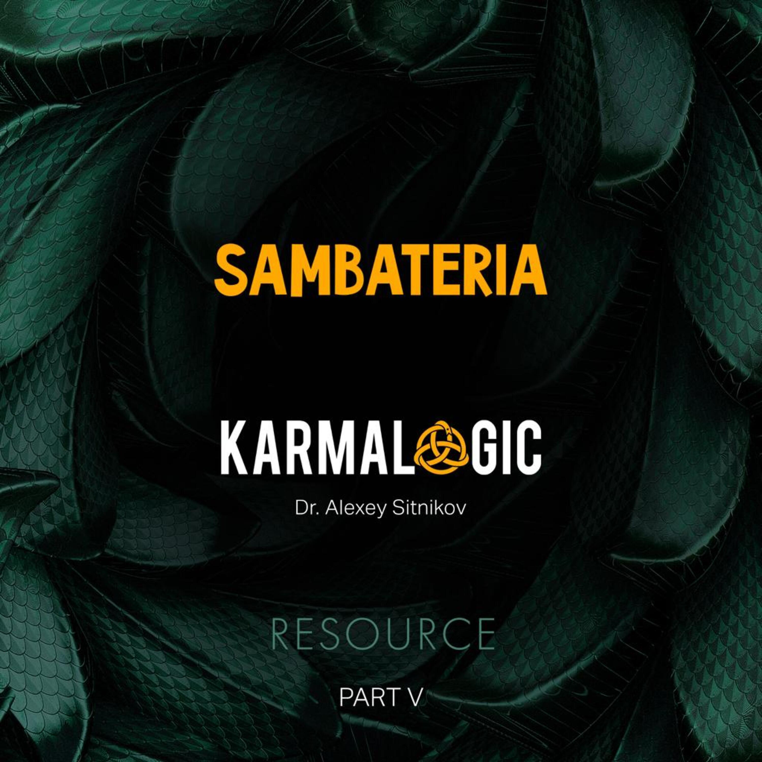 Постер альбома Karmalogic Resource (Part V)