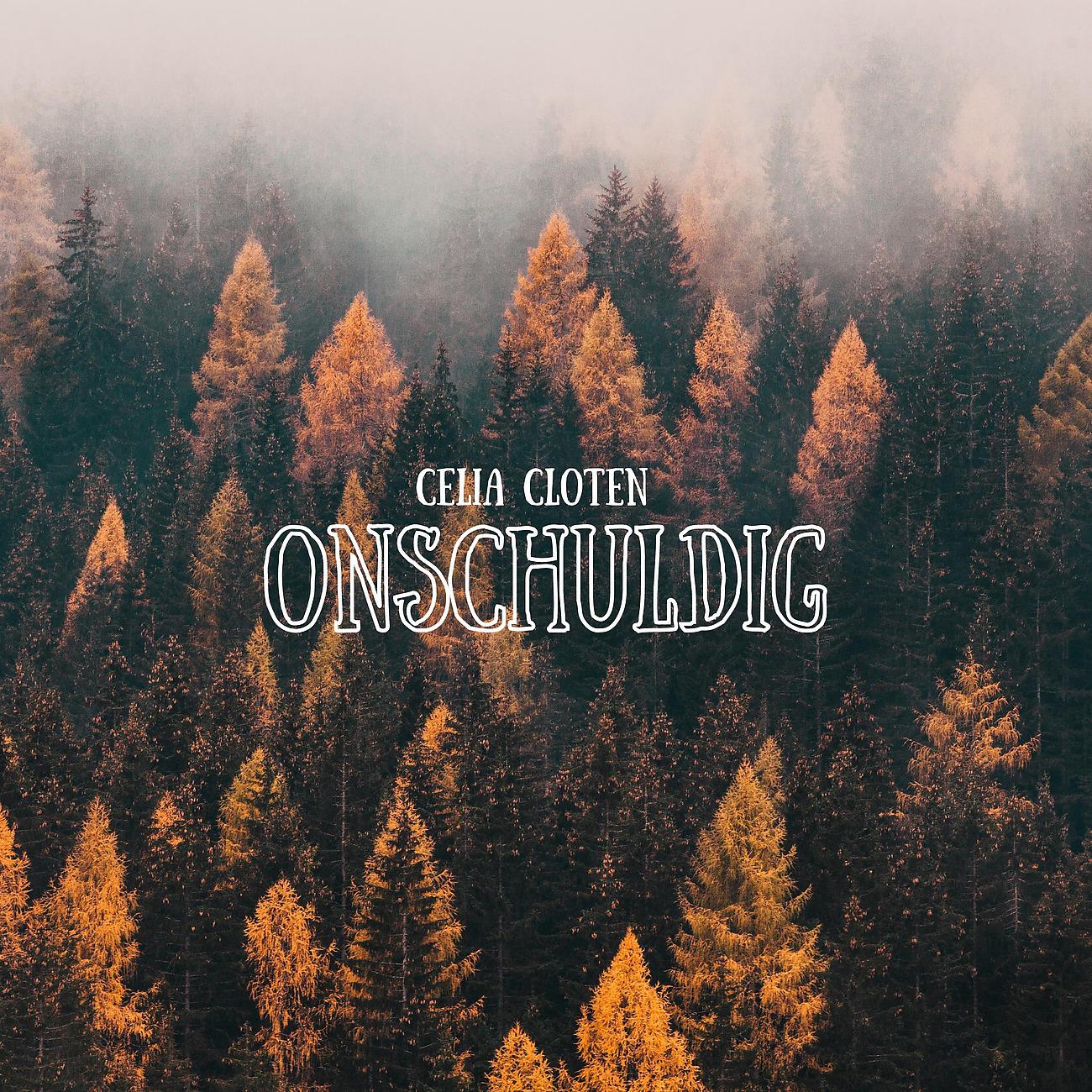 Постер альбома Onschuldig