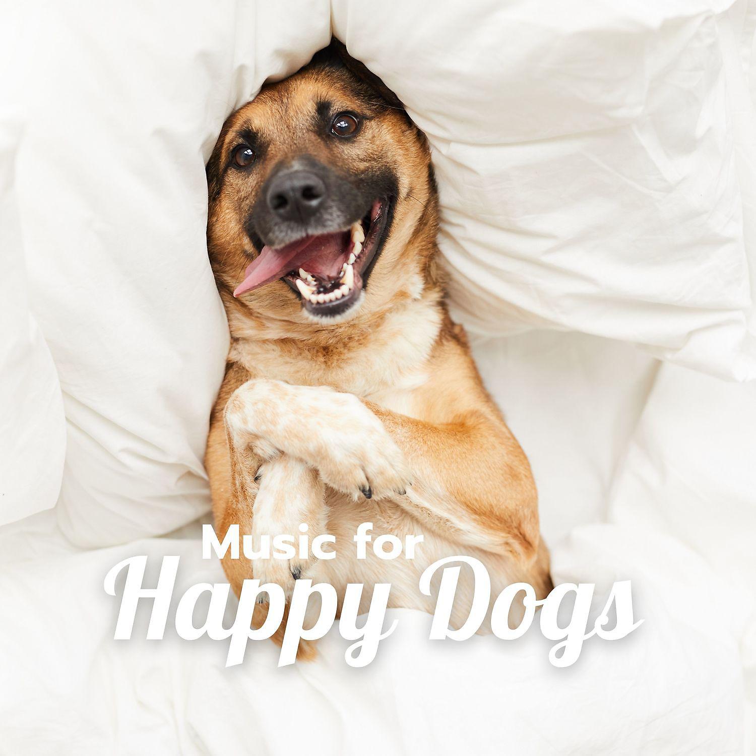 Постер альбома Music for Happy Dogs