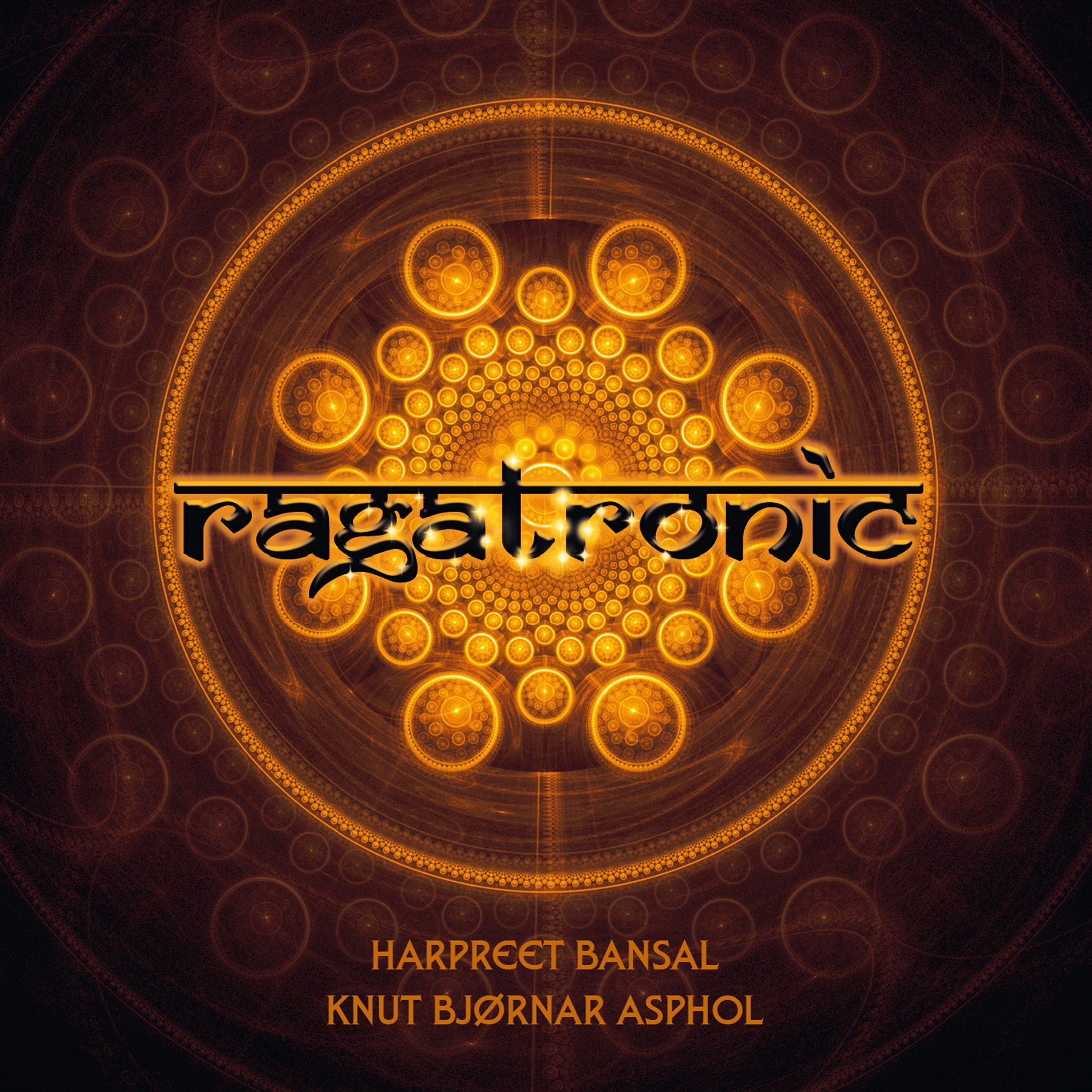Постер альбома Ragatronic