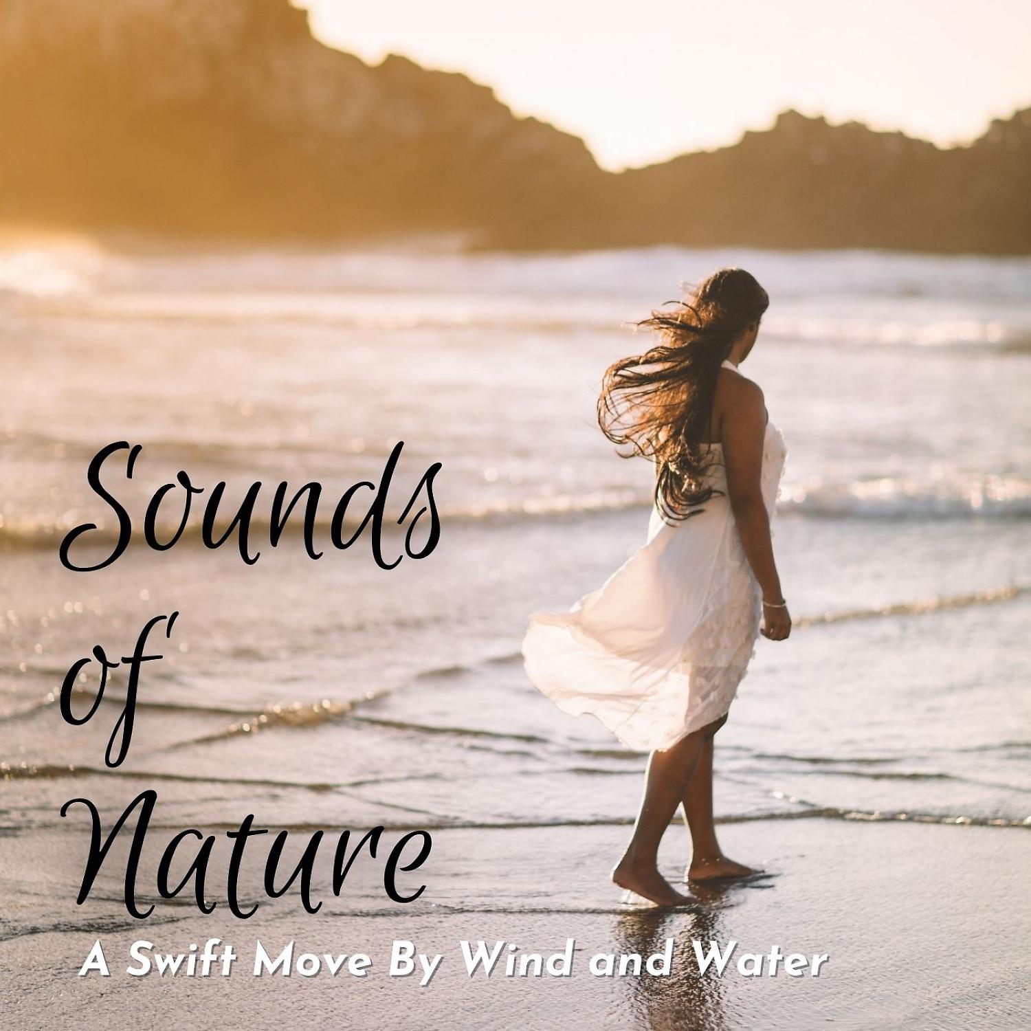 Постер альбома Sounds of Nature: A Swift Move By Wind and Water