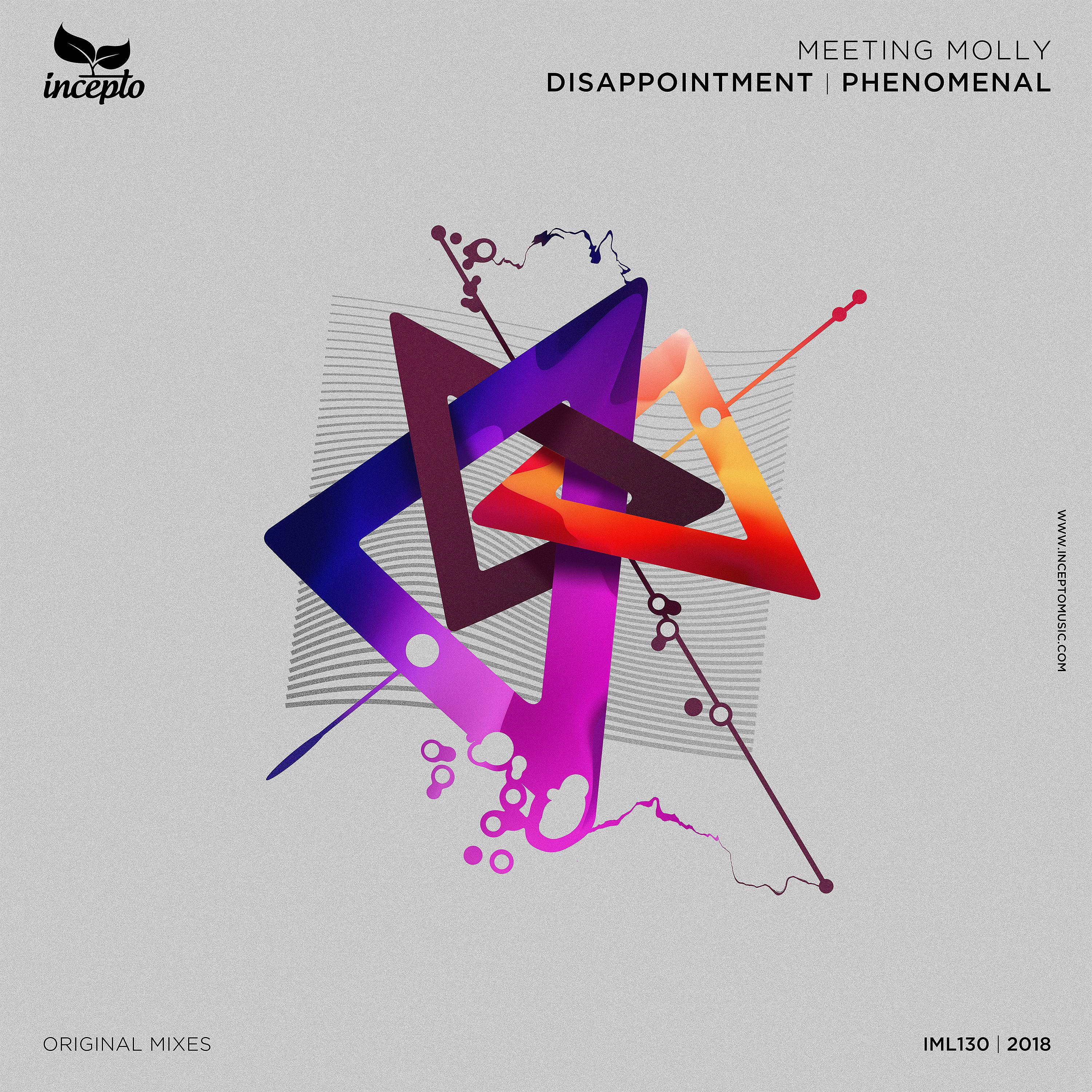 Постер альбома Disappointment / Phenomenal