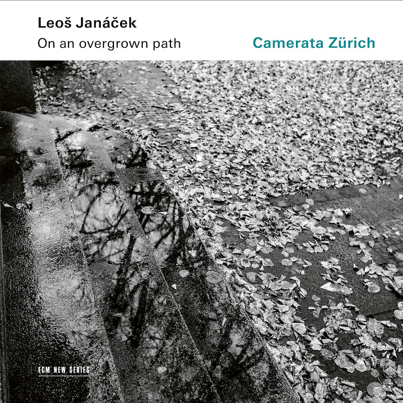 Постер альбома Janáček: On An Overgrown Path (Po zarostlém chodnicku), JW 8/17 - Arr. Rumler for String Orchestra / Book I: 7. Good Night!