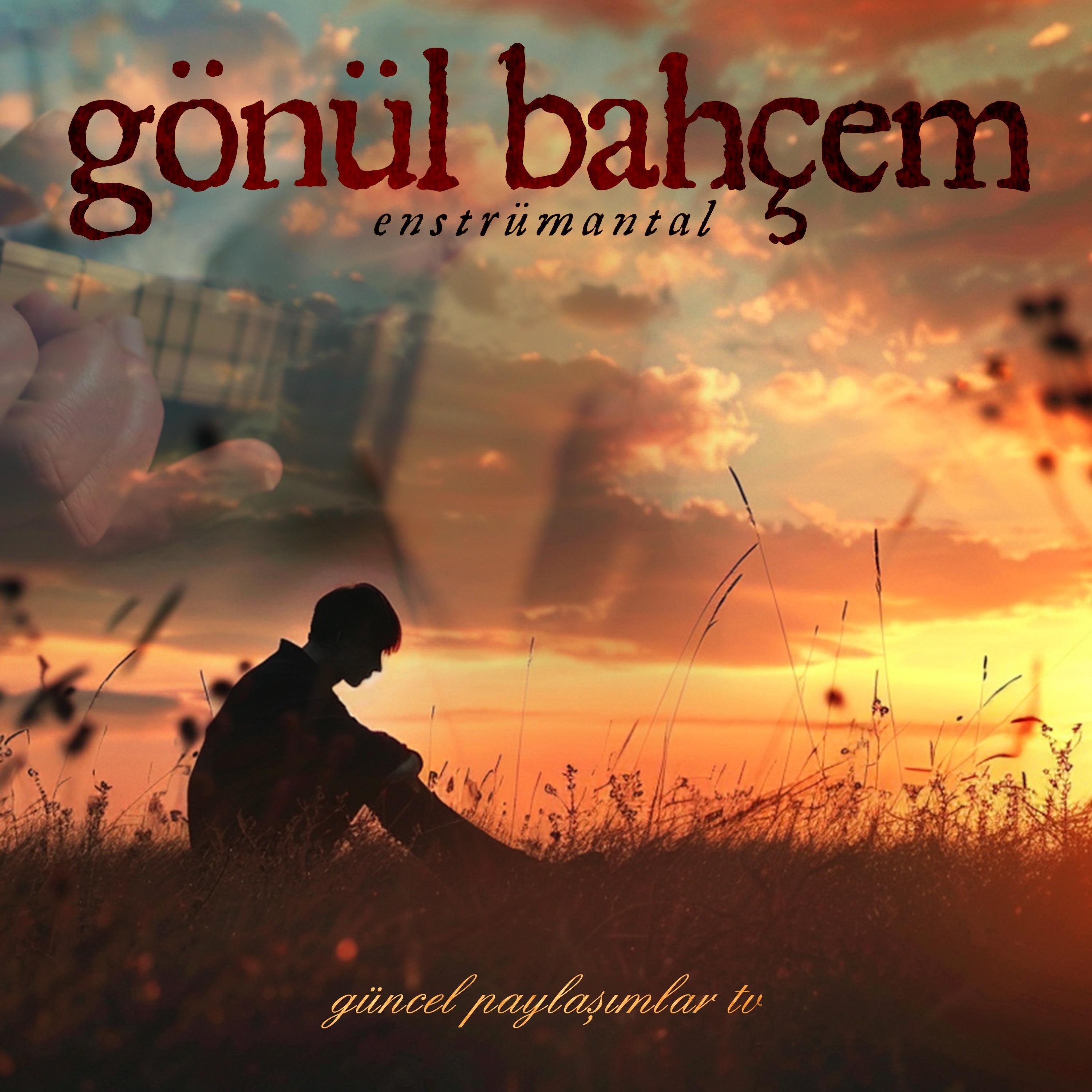 Постер альбома Gönül Bahçem