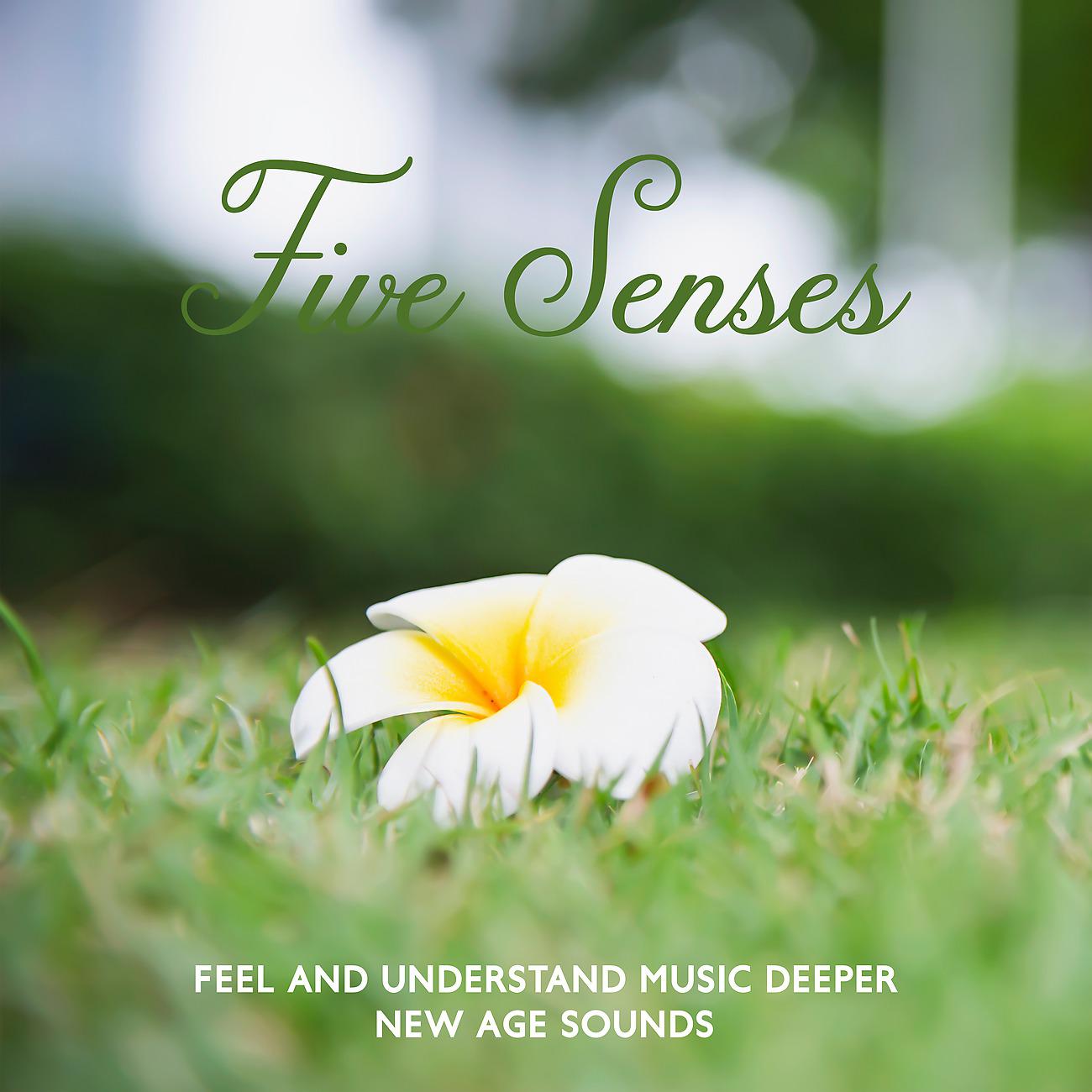 Постер альбома Five Senses - Feel and Understand Music Deeper, New Age Sounds