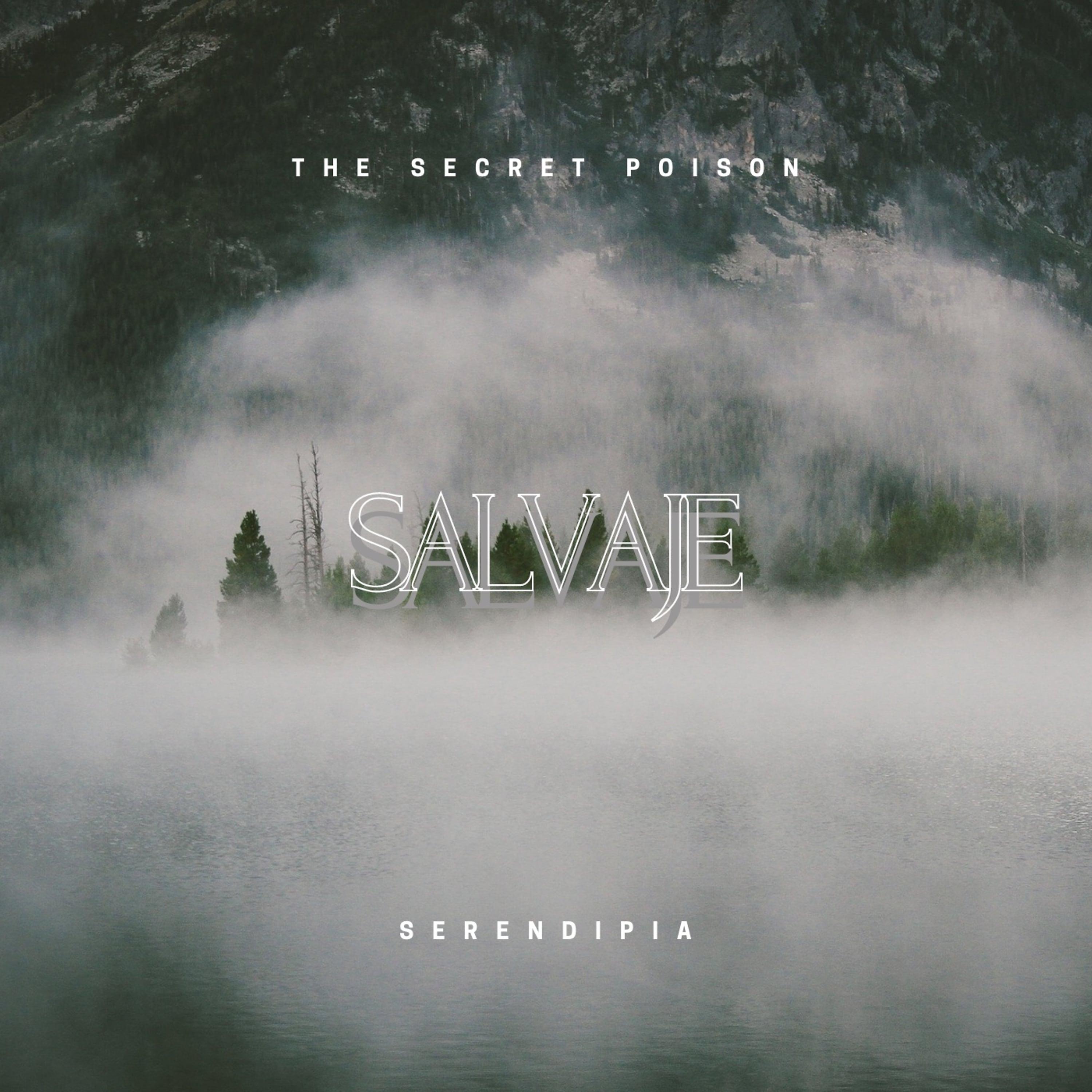 Постер альбома Salvaje