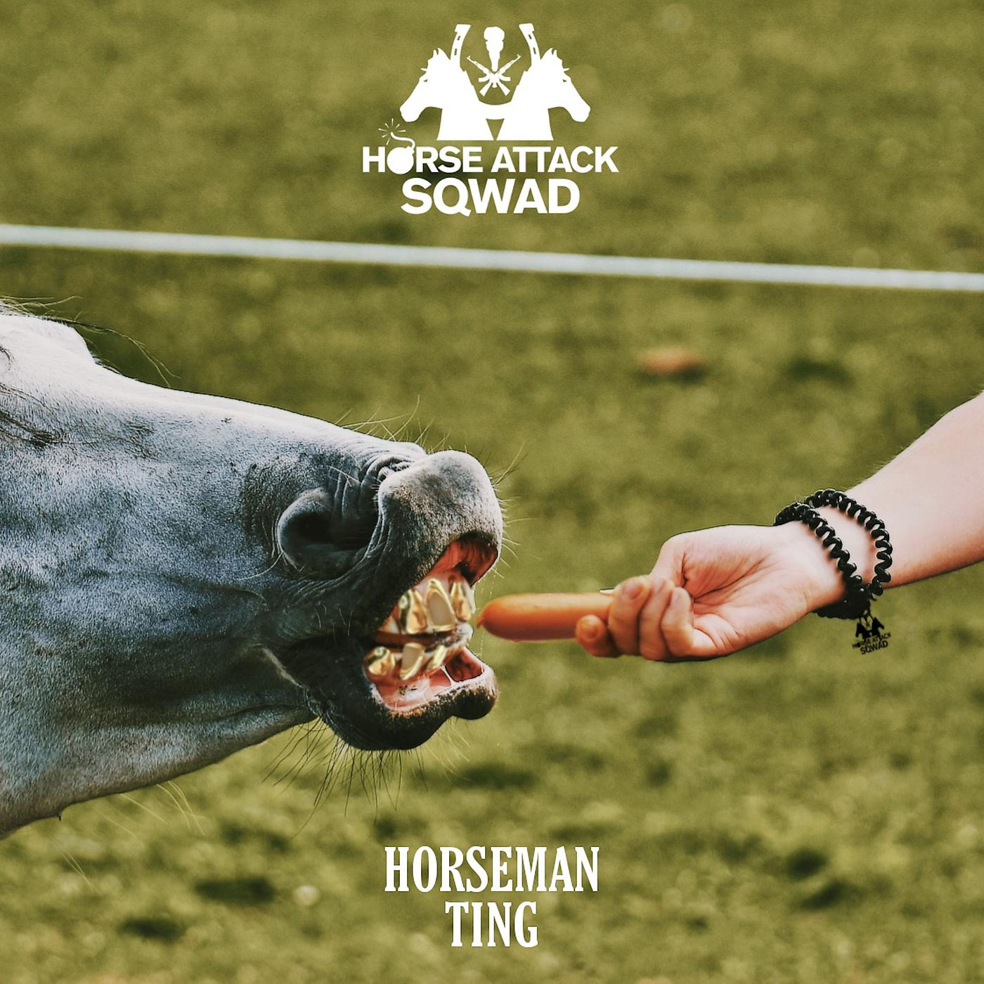 Постер альбома Horseman ting