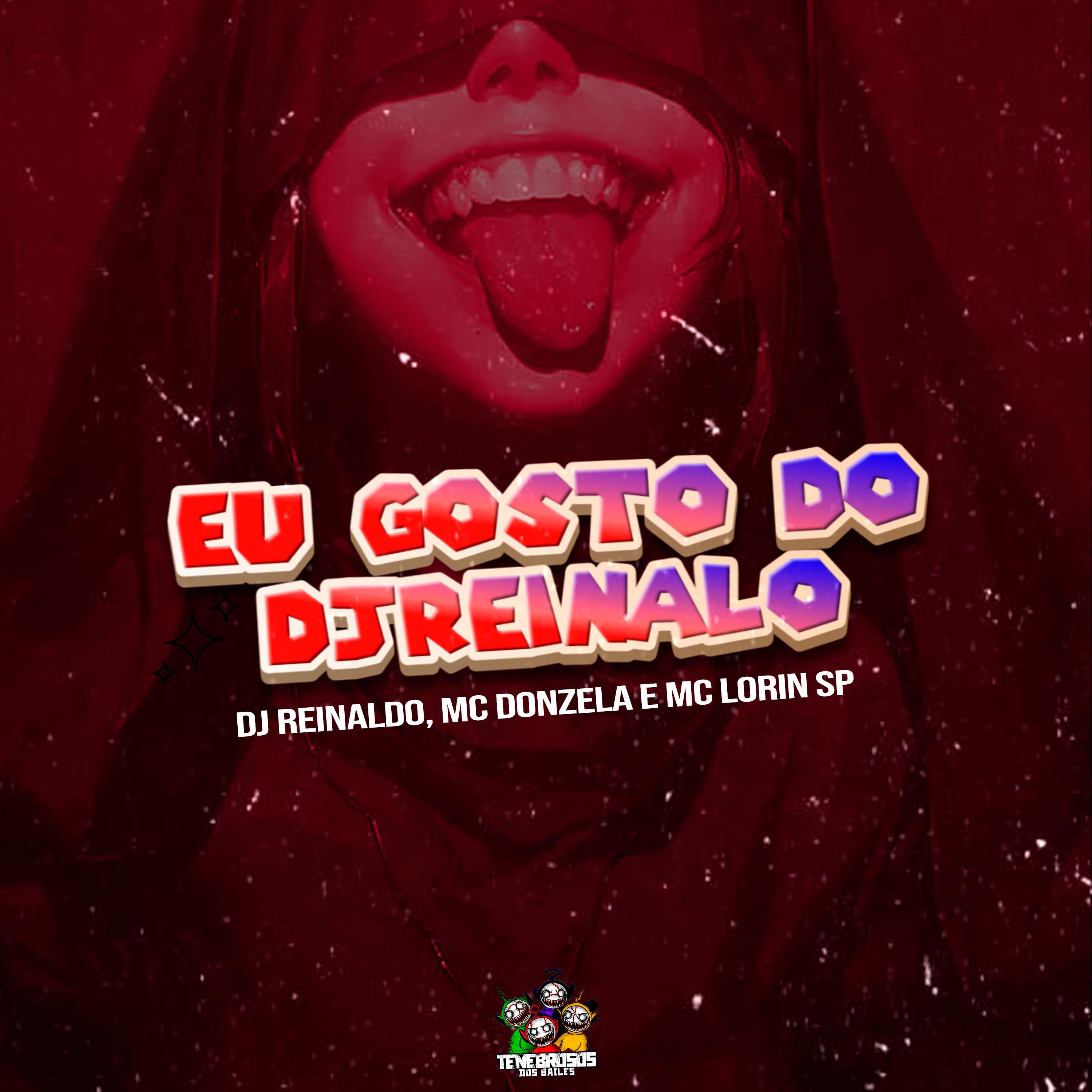 Постер альбома Eu Gosto do Dj Reinaldo