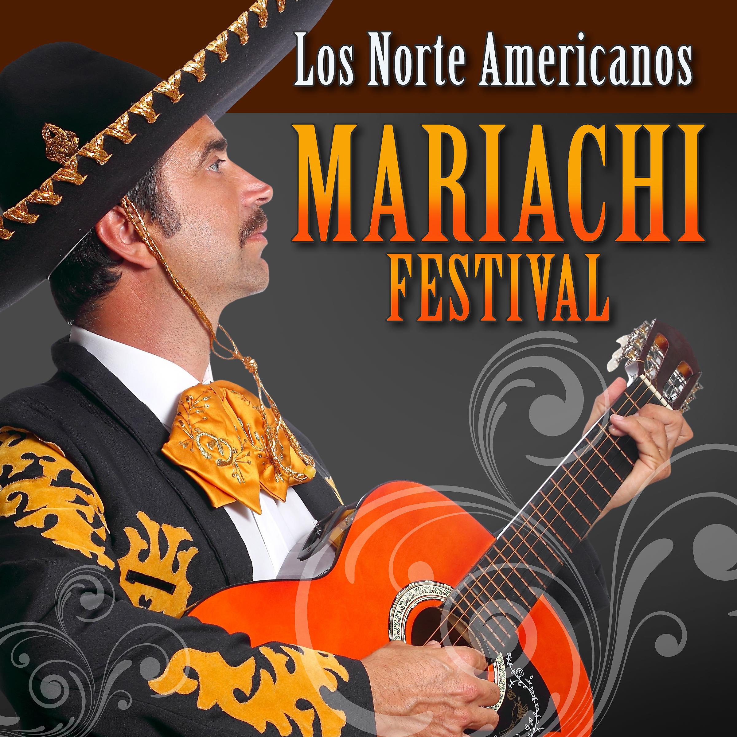 Постер альбома Mariachi Festival