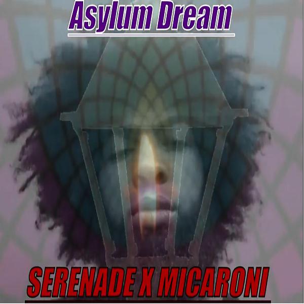 Постер альбома Asylum Dream (feat. Micaroni)