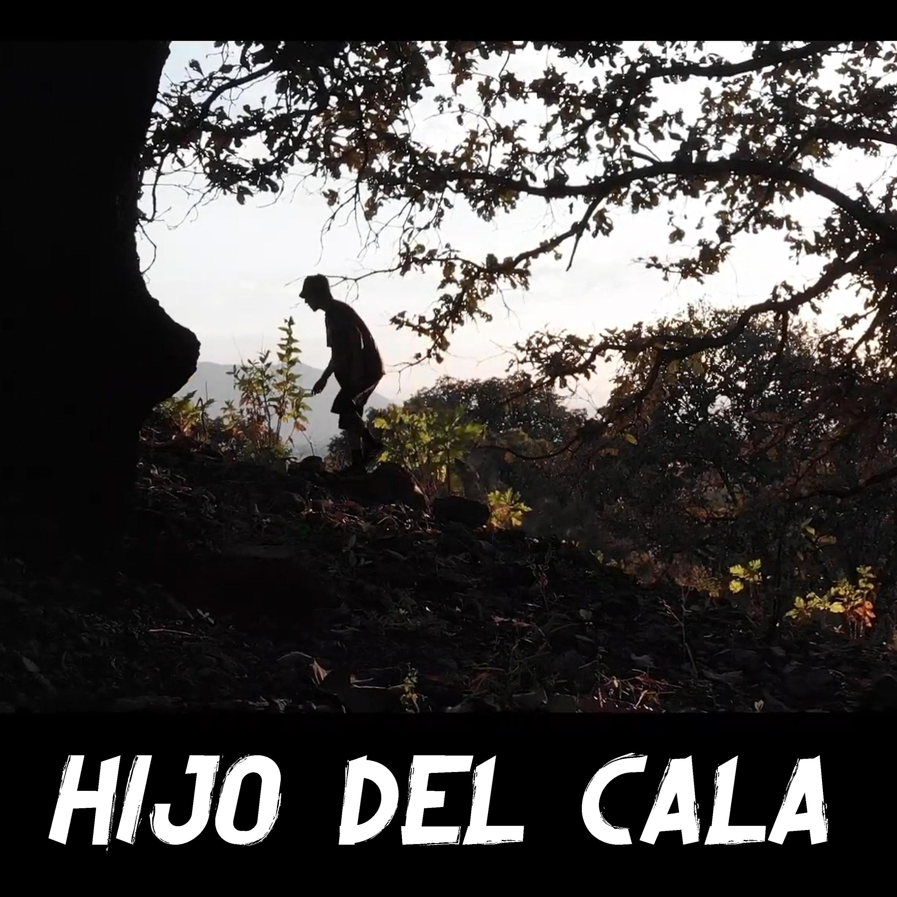 Постер альбома Hijo del Cala