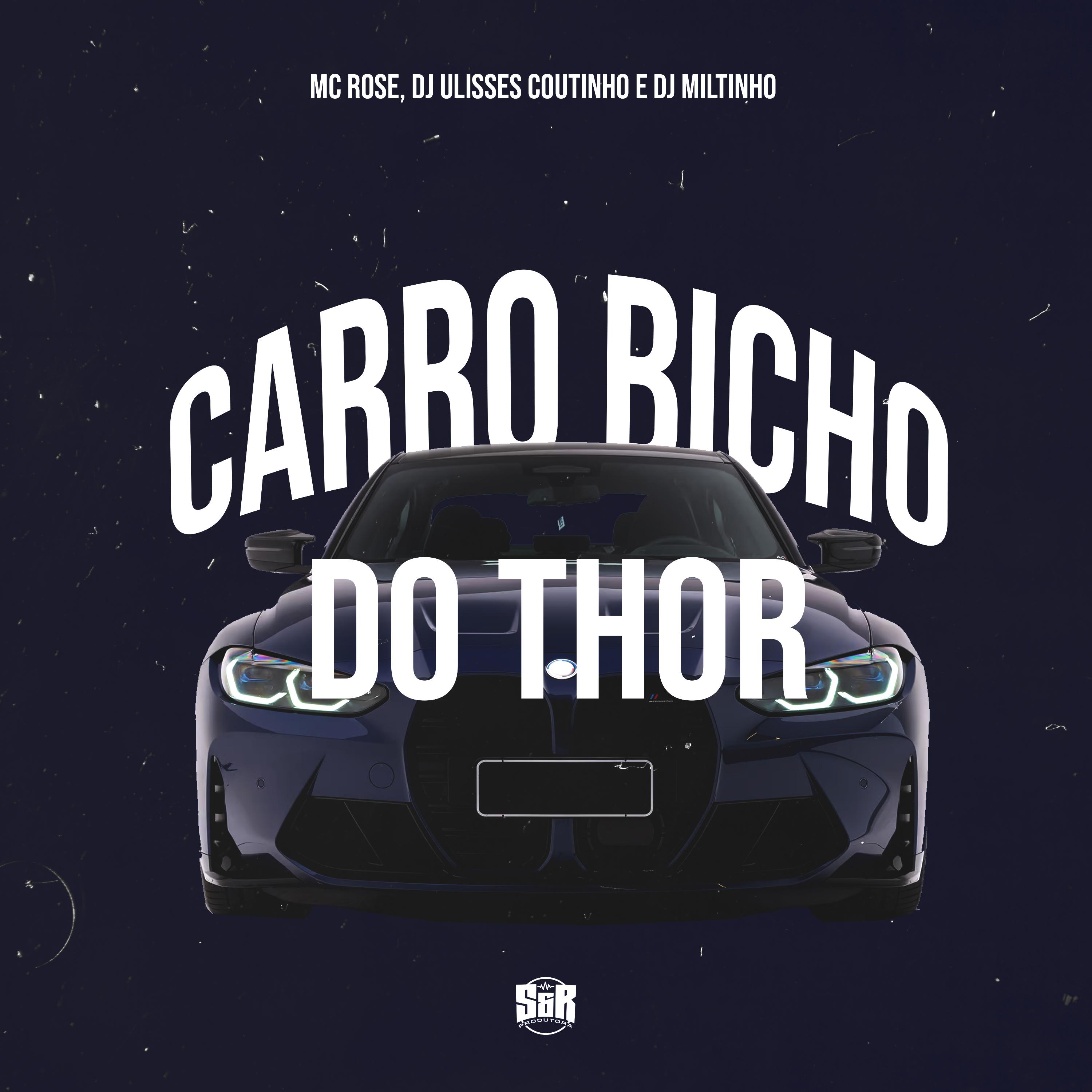 Постер альбома Carro Bicho do Thor