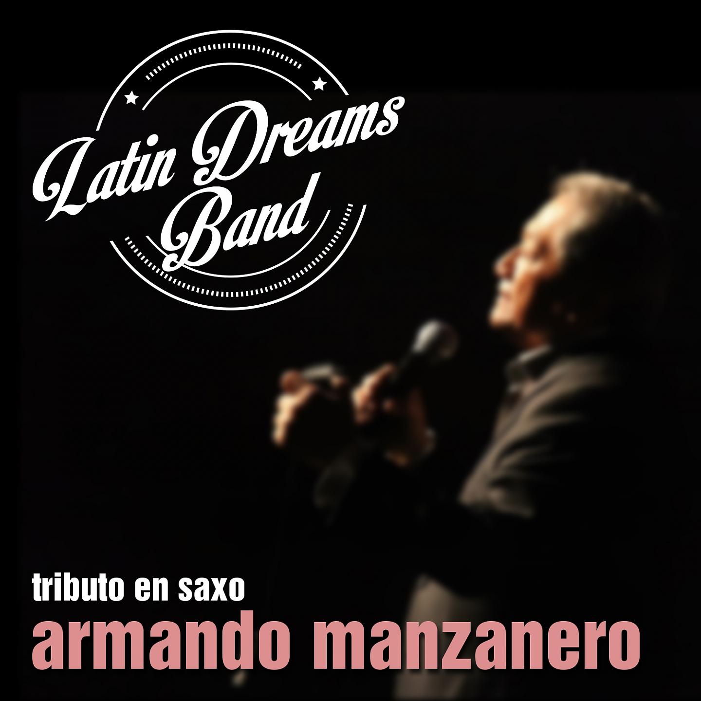Постер альбома Tributo en Saxo: Armando Manzanero