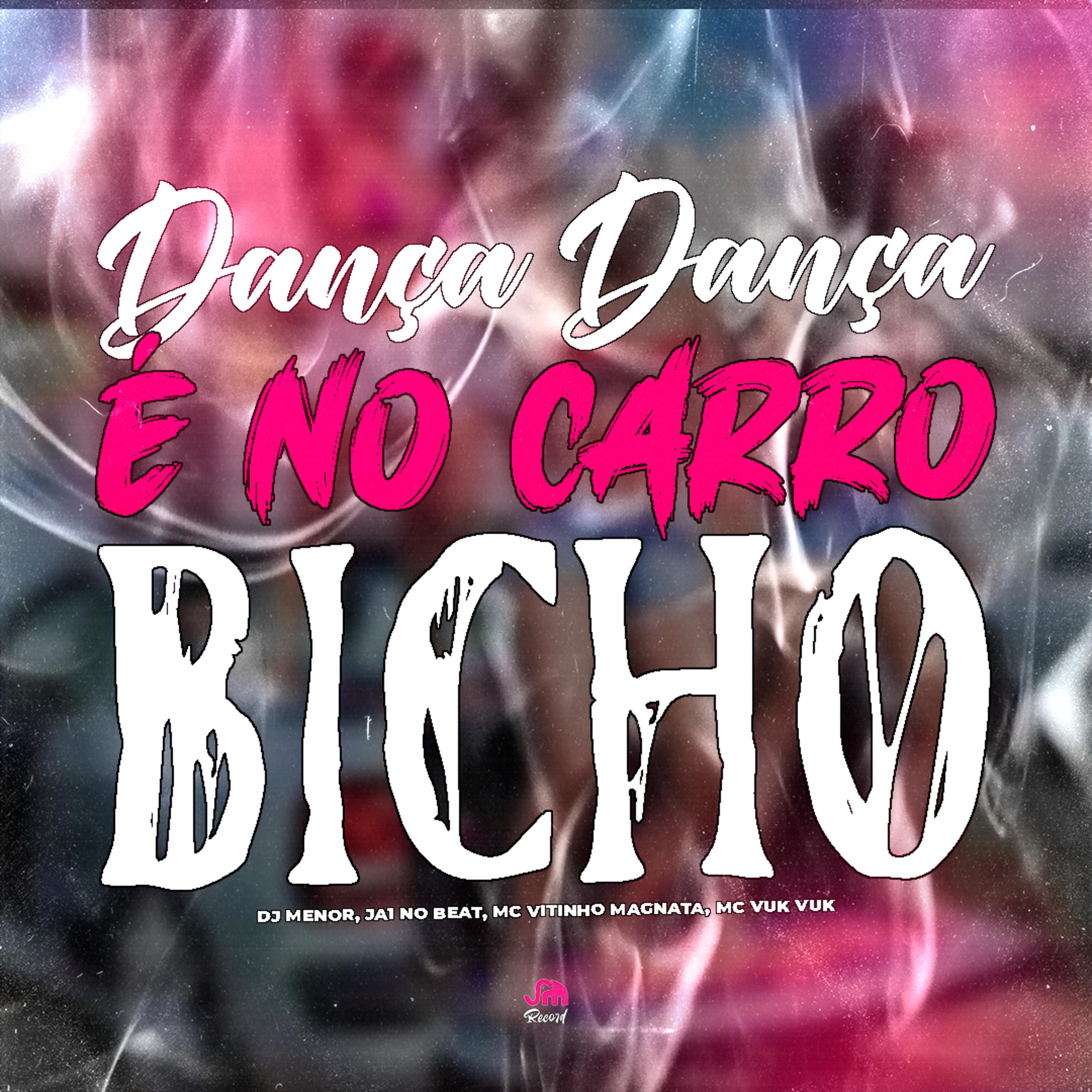 Постер альбома Dança Dança & no Carro Bicho