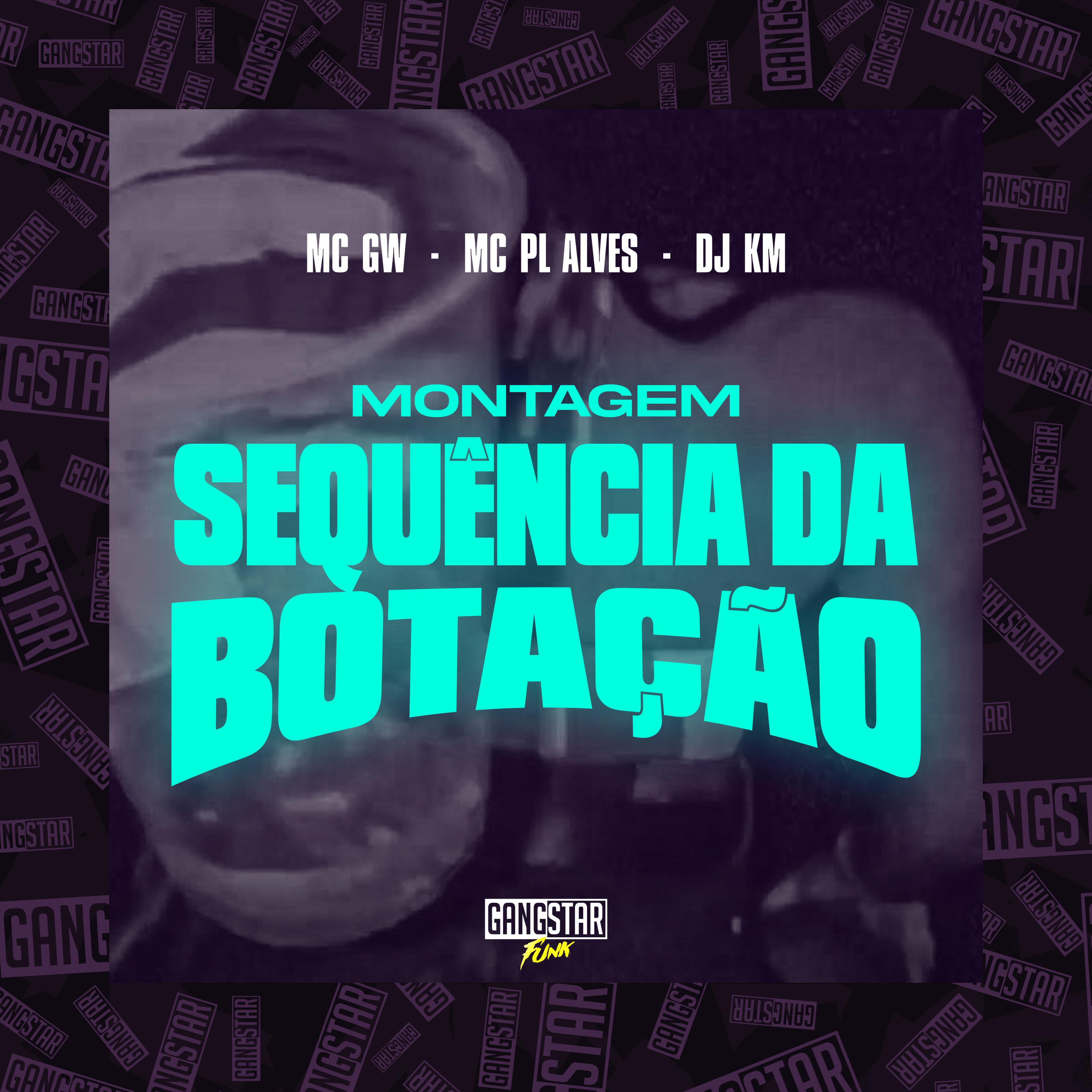 Постер альбома Montagem Sequência da Botação