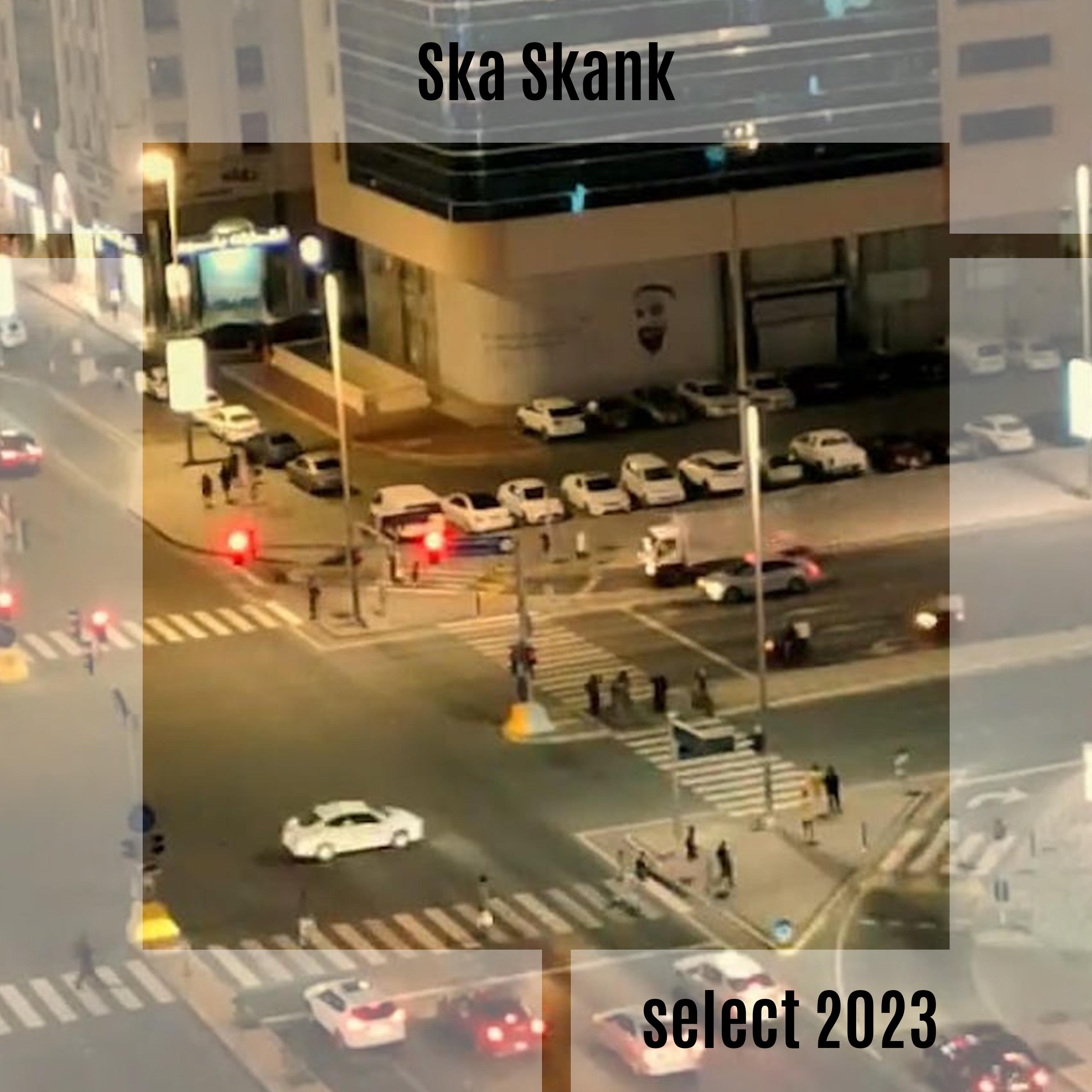 Постер альбома Ska Skank Select 2023