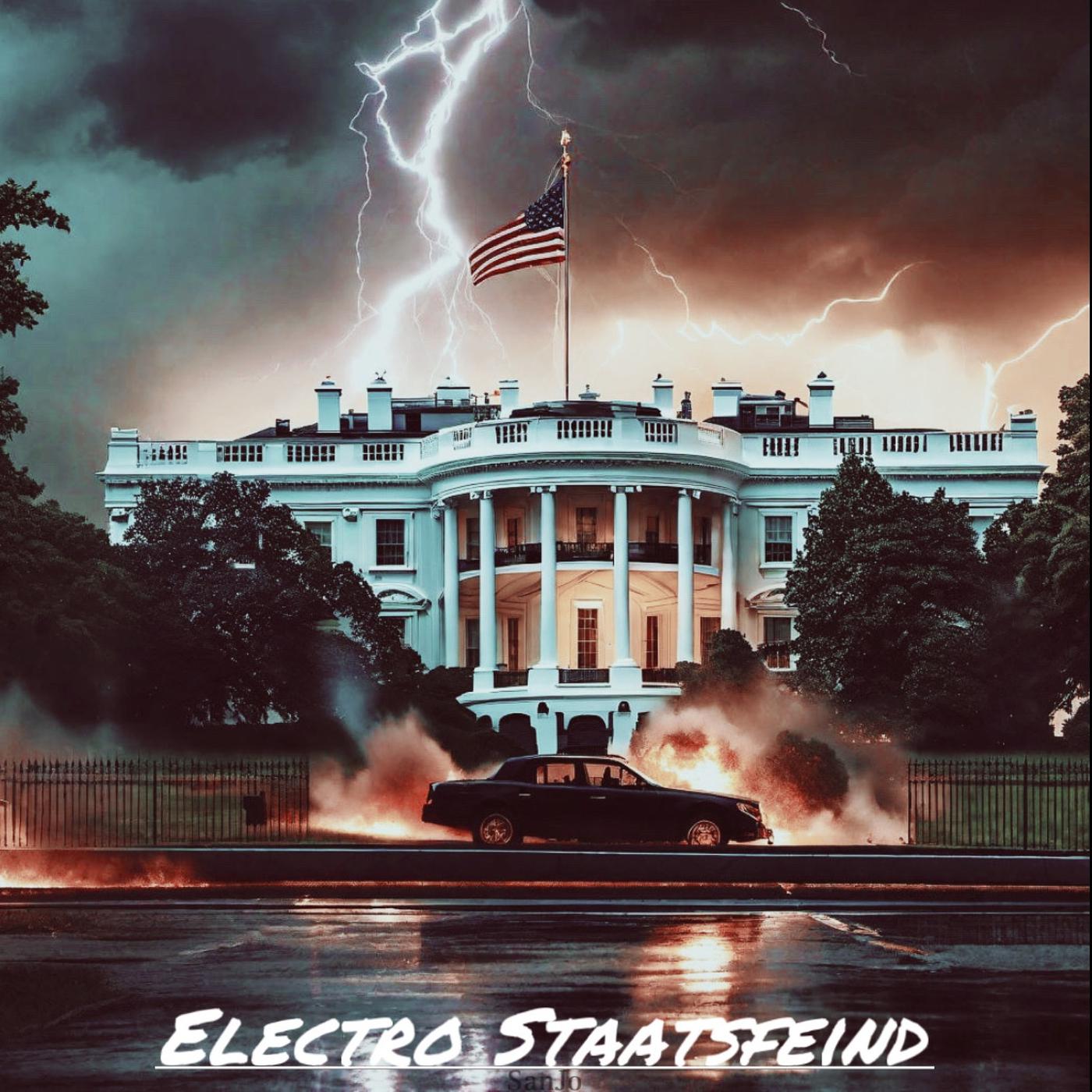 Постер альбома Electro Staatsfeind