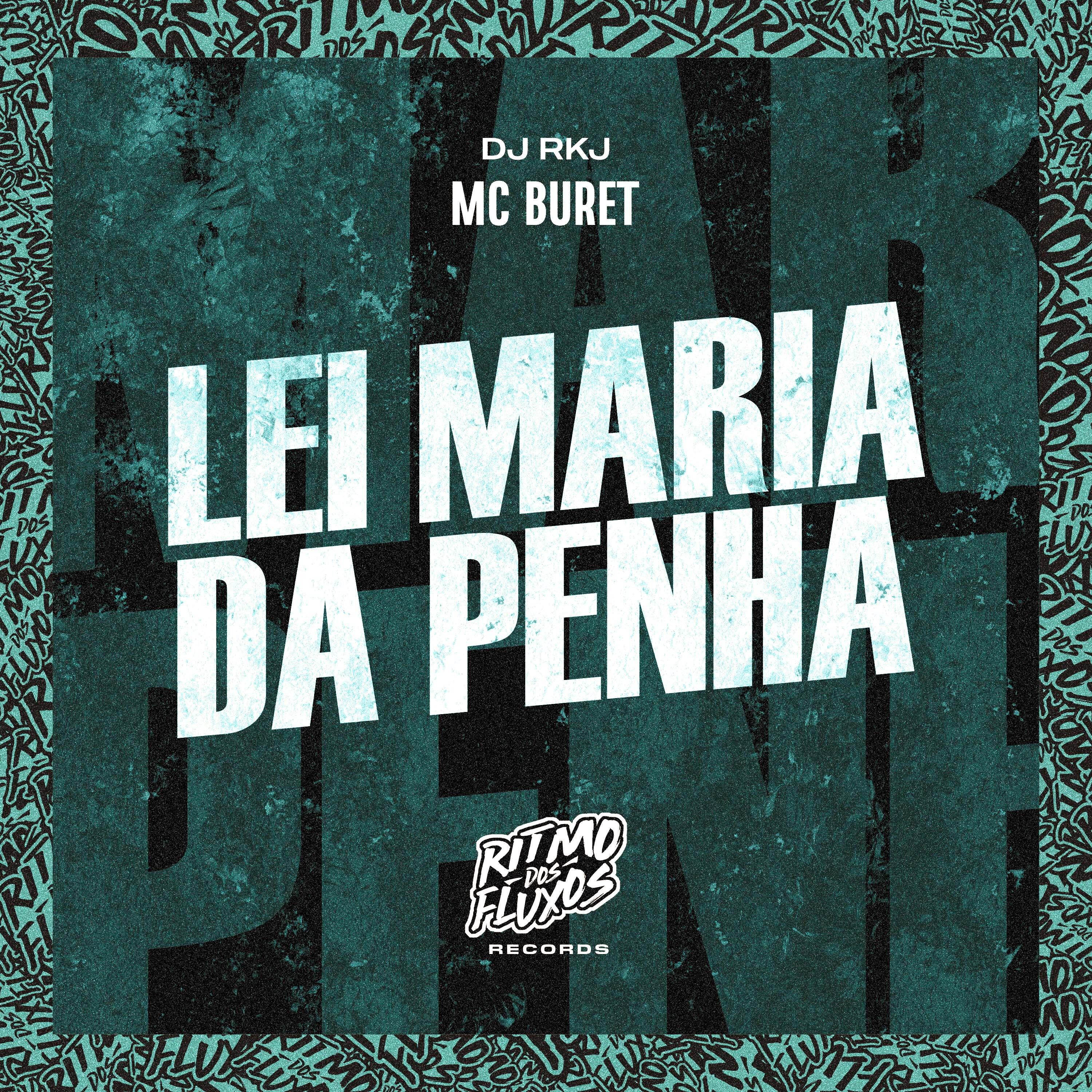 Постер альбома Lei Maria da Penha