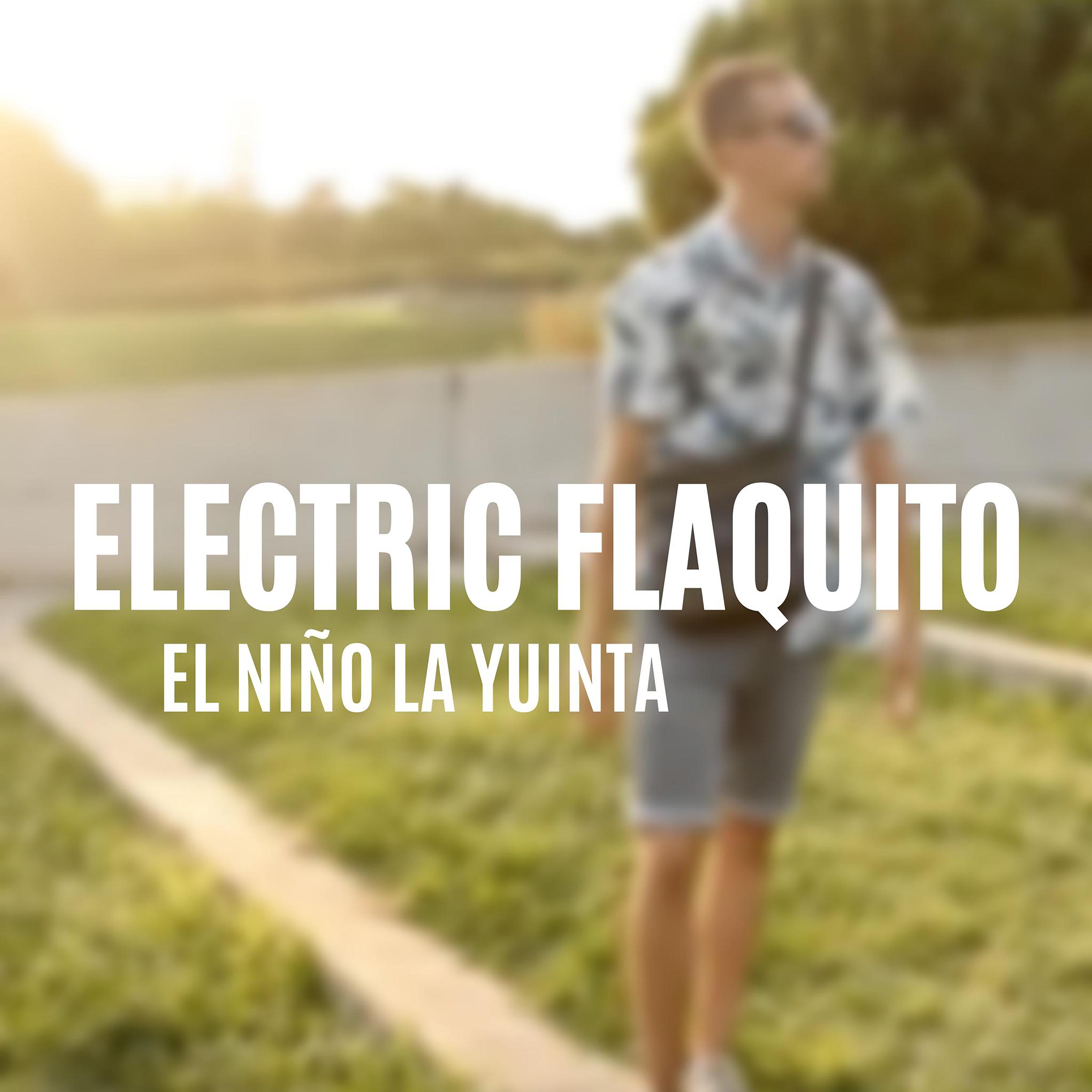 Постер альбома Electric Flaquito