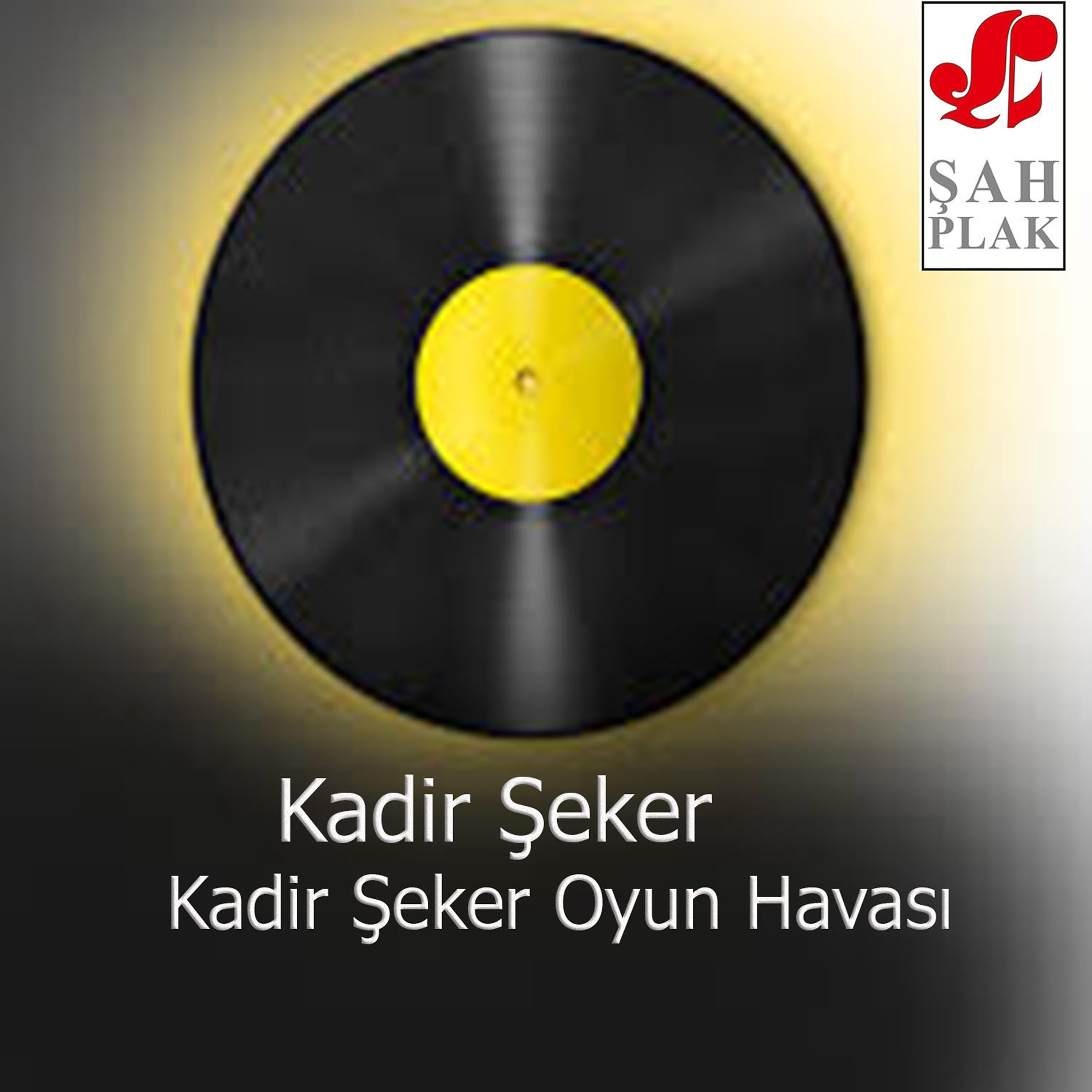 Постер альбома Kadir Şeker Oyun Havası