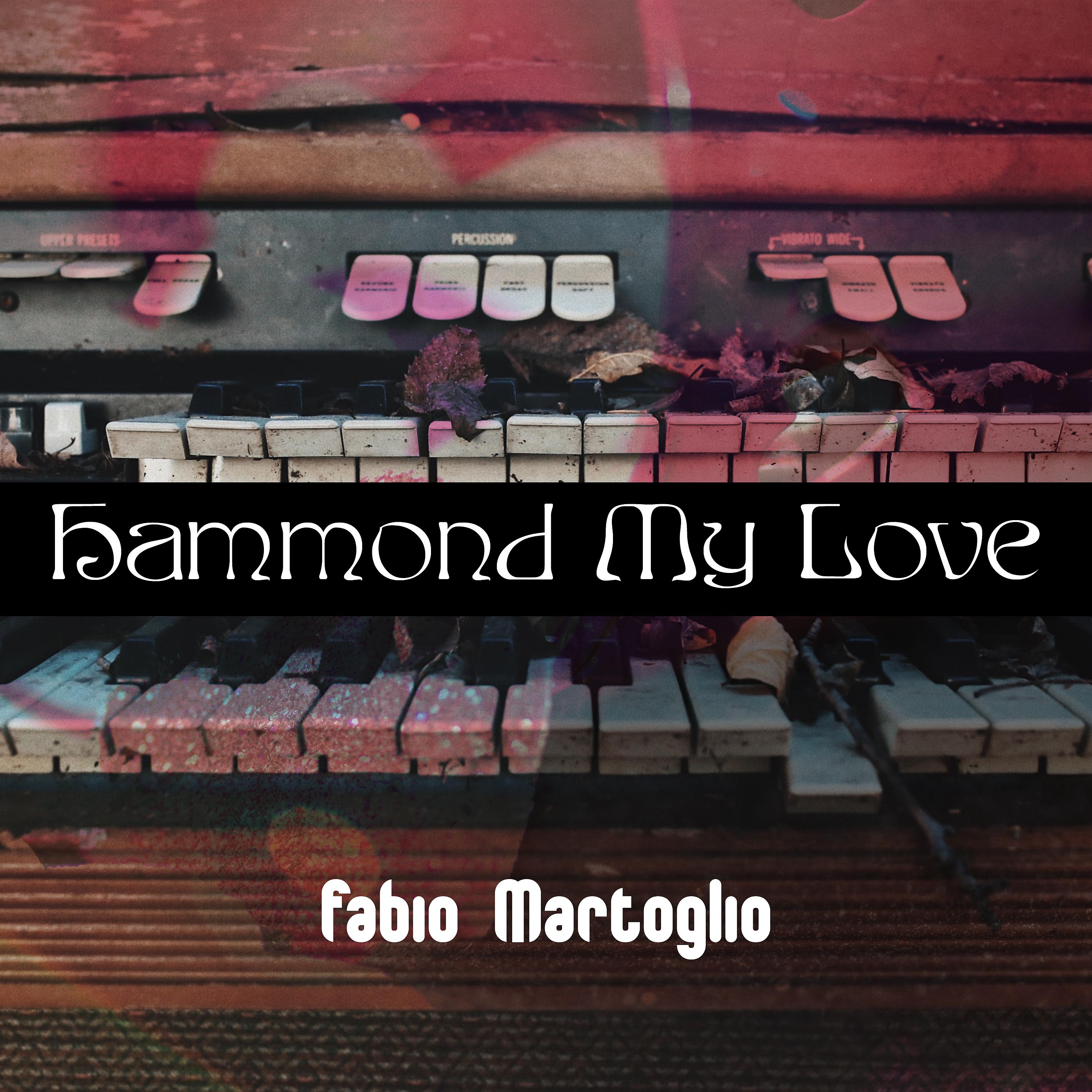 Постер альбома Hammond My Love