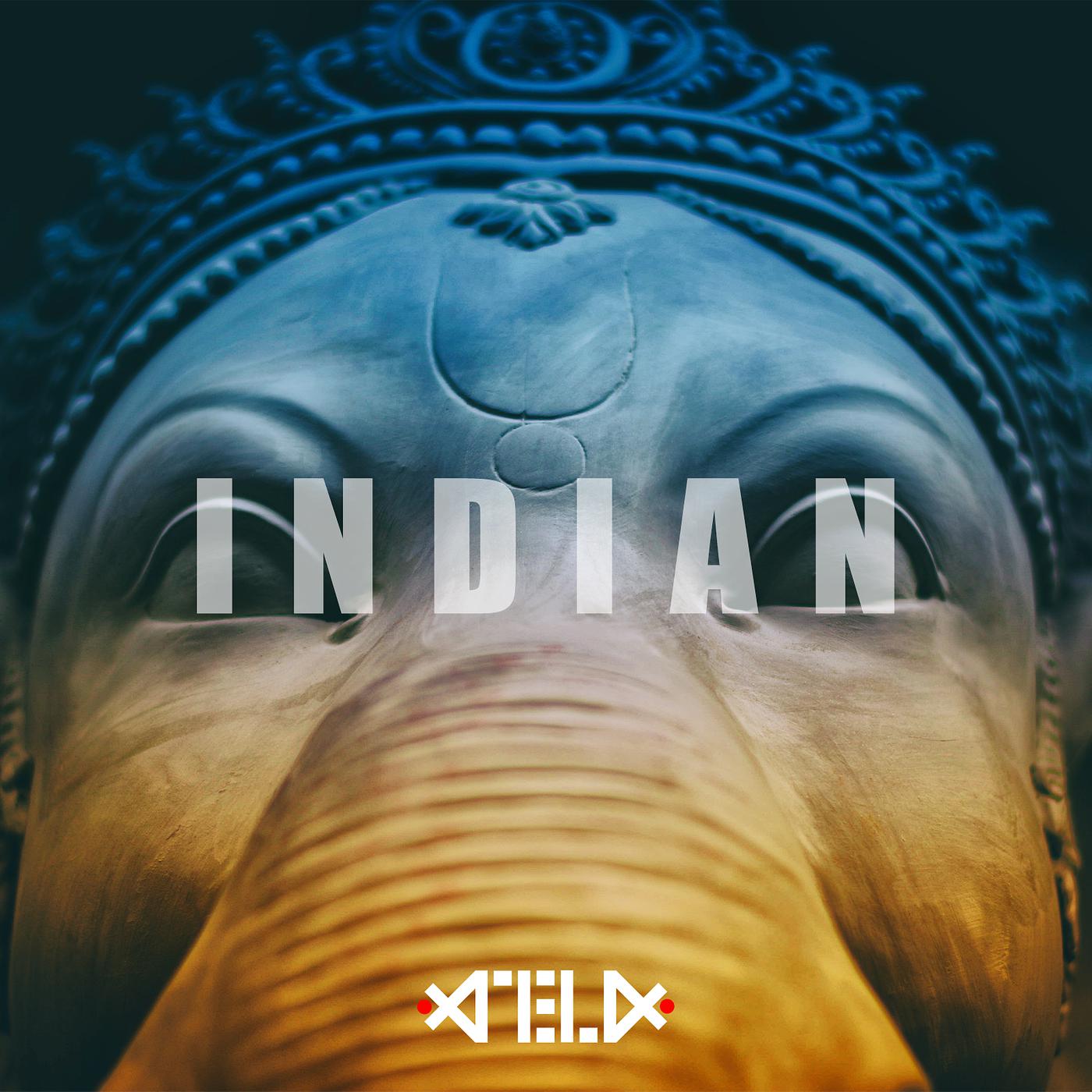 Постер альбома Indian Mix