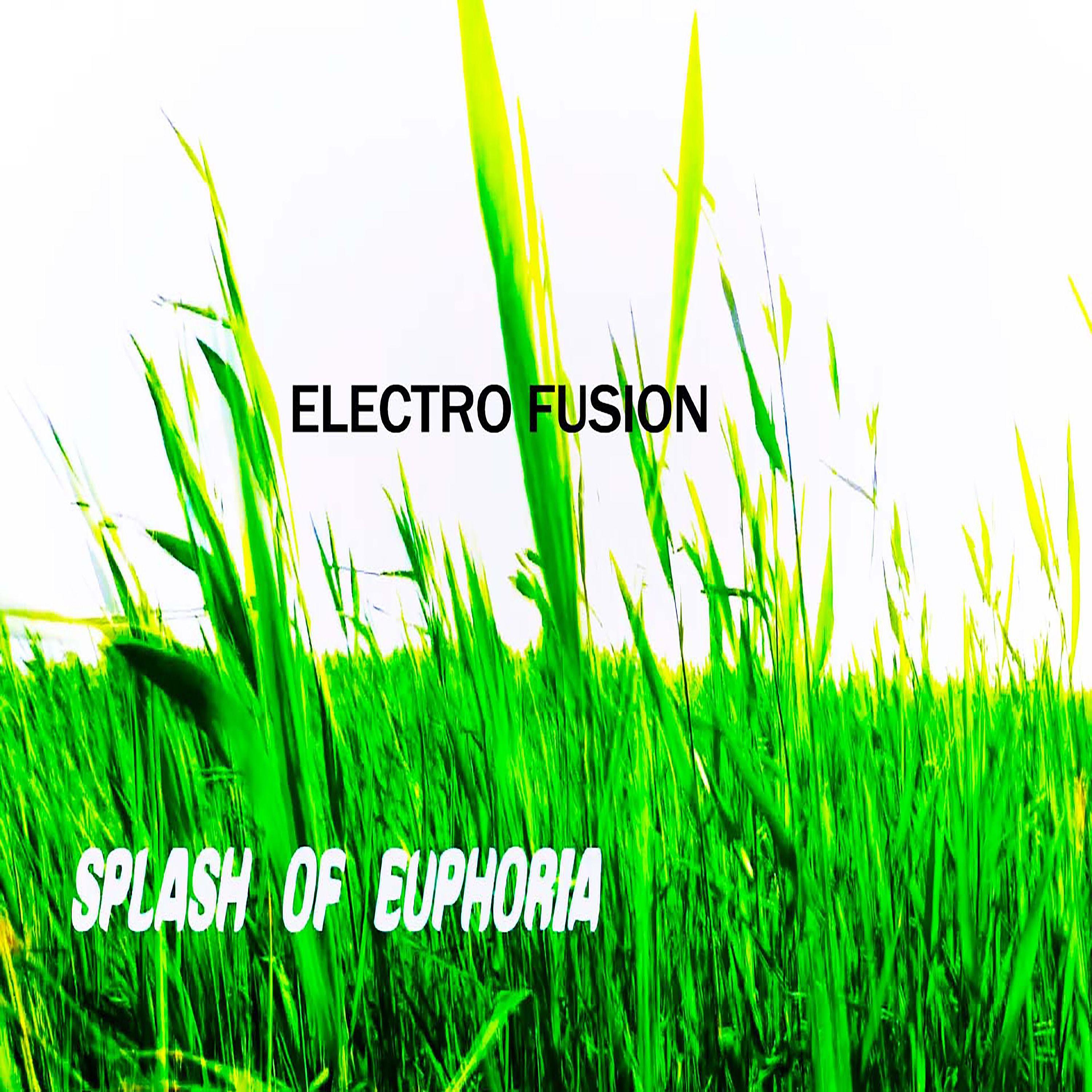 Постер альбома Splash of euphoria