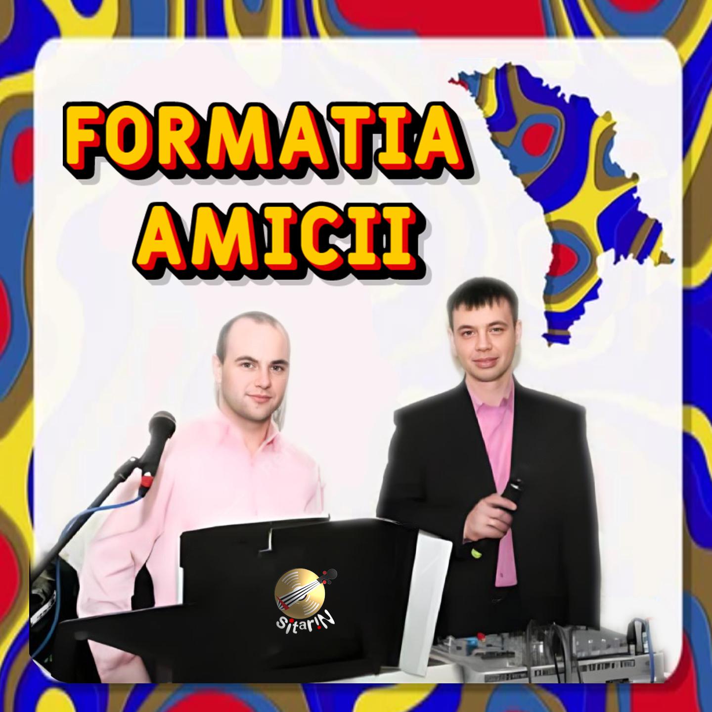 Постер альбома Formatia Amicii, Vol. 2