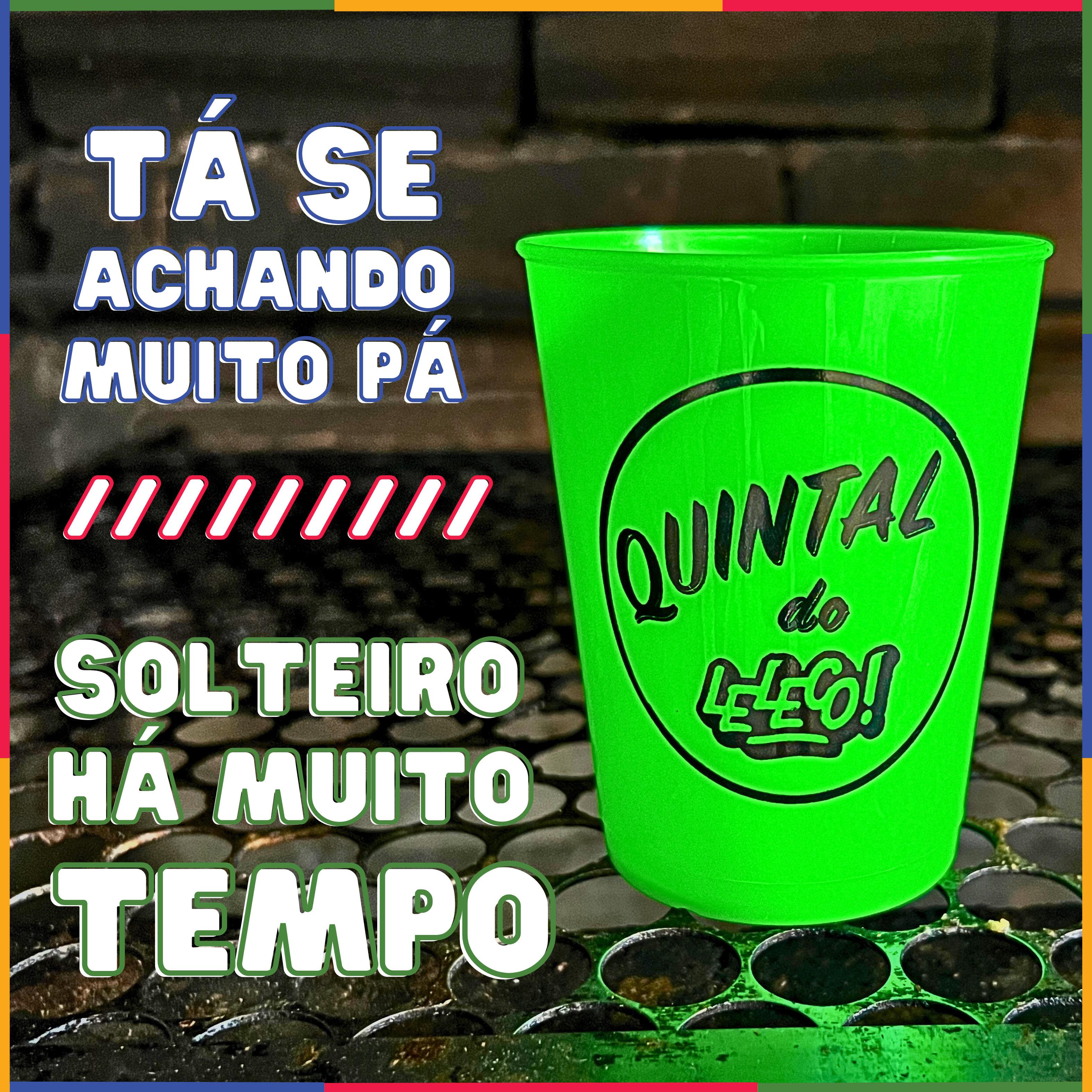 Постер альбома Tá Se Achando Muito Pá / Solteiro Há Muito Tempo