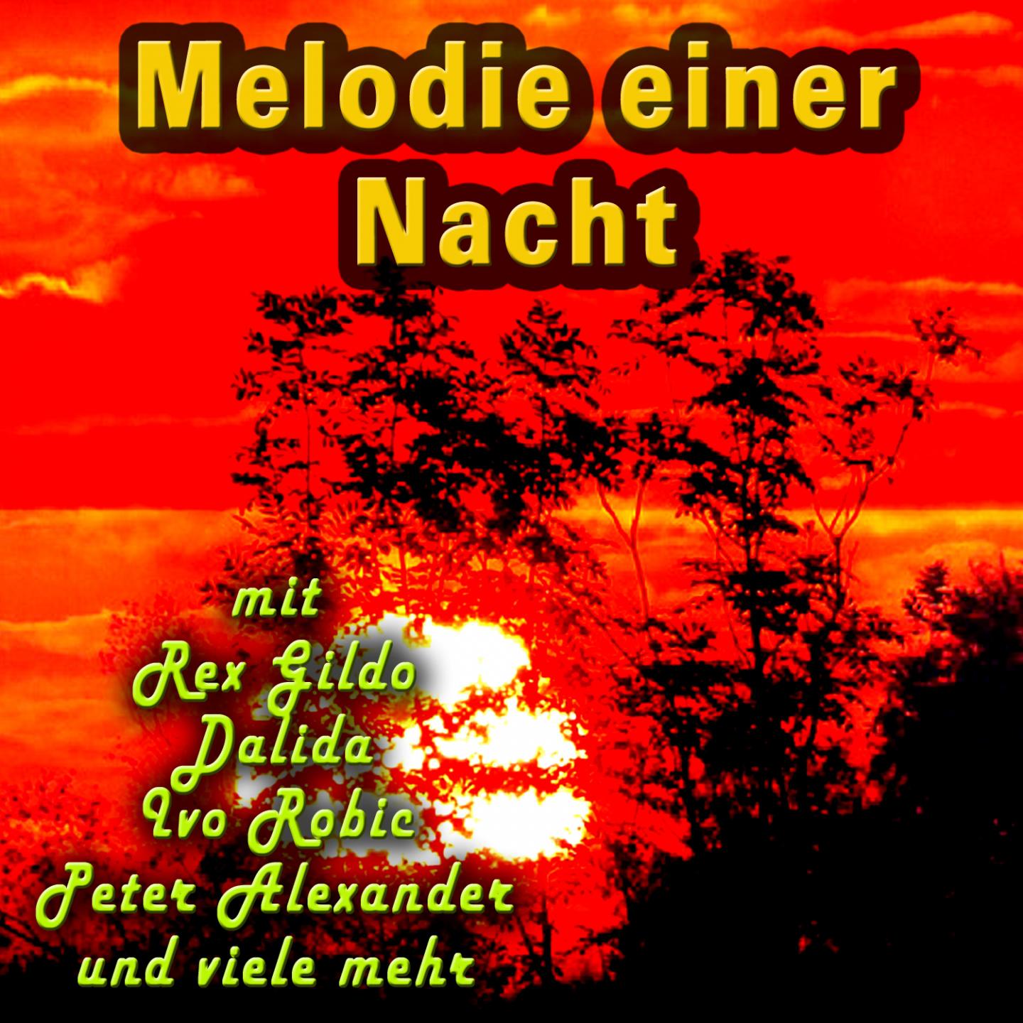 Постер альбома Melodie einer Nacht