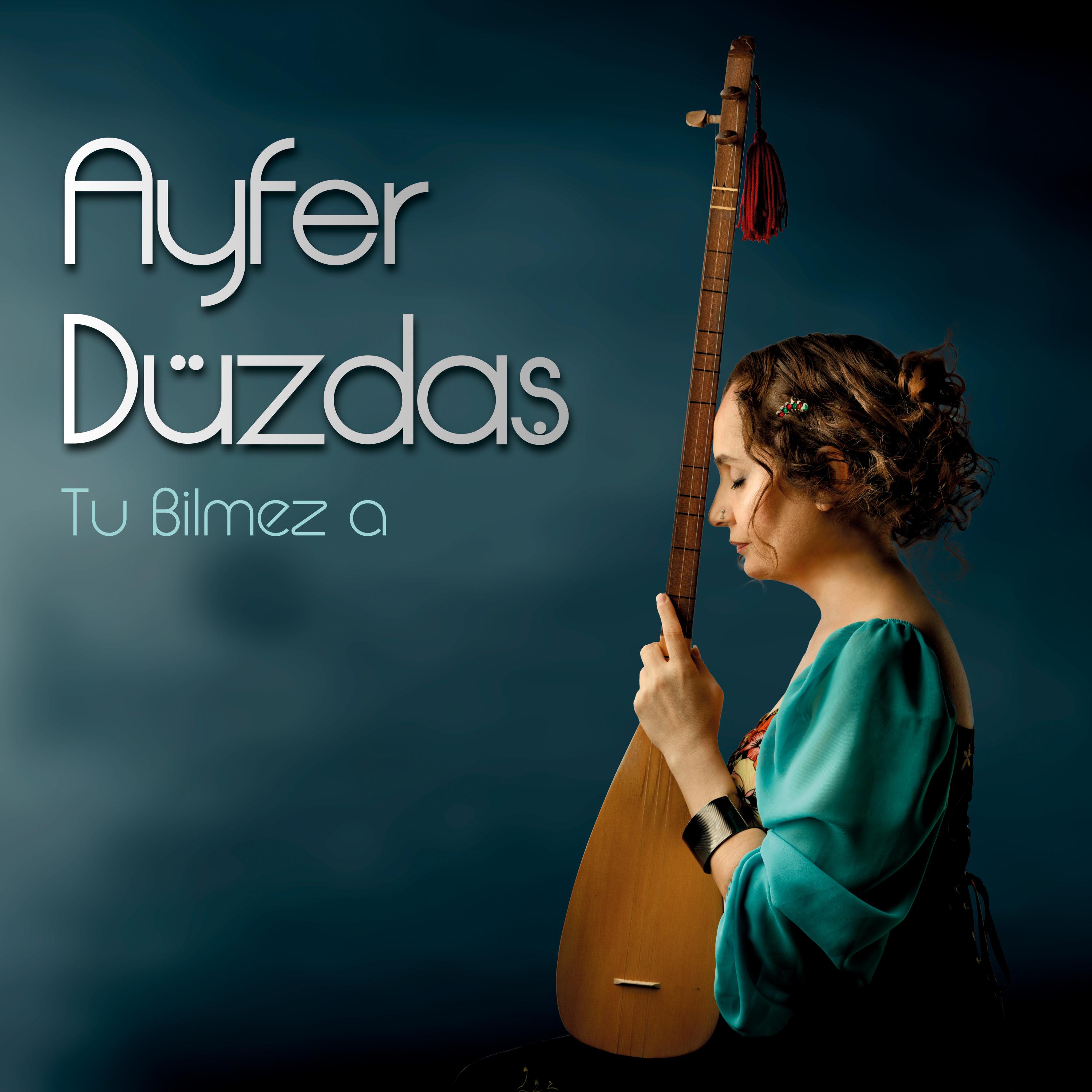 Постер альбома Tu Bîlmez a